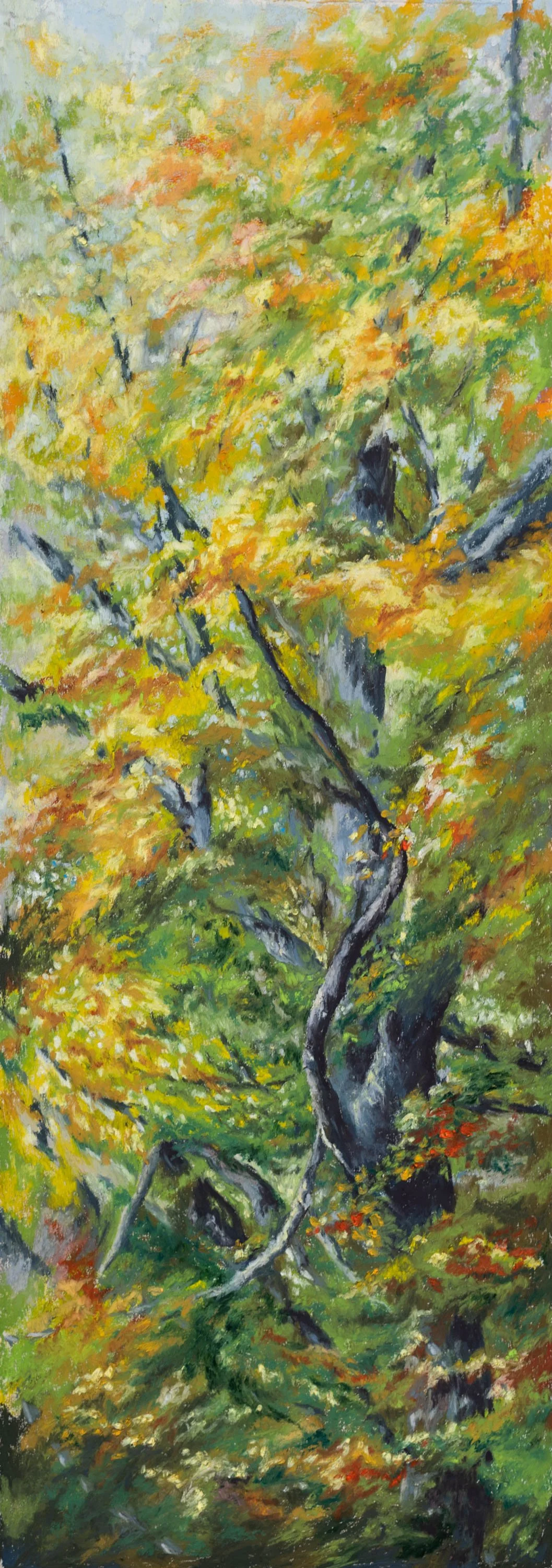 Turn Of The Season - Painswick Rococo Garden Autumn Drawing