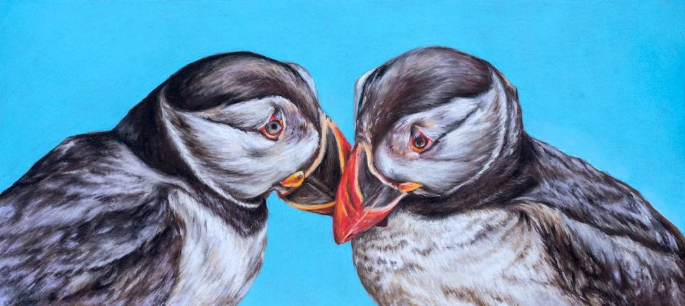 Lifetime Lovers - Puffin Wildlife Pastel Framed Original Drawing