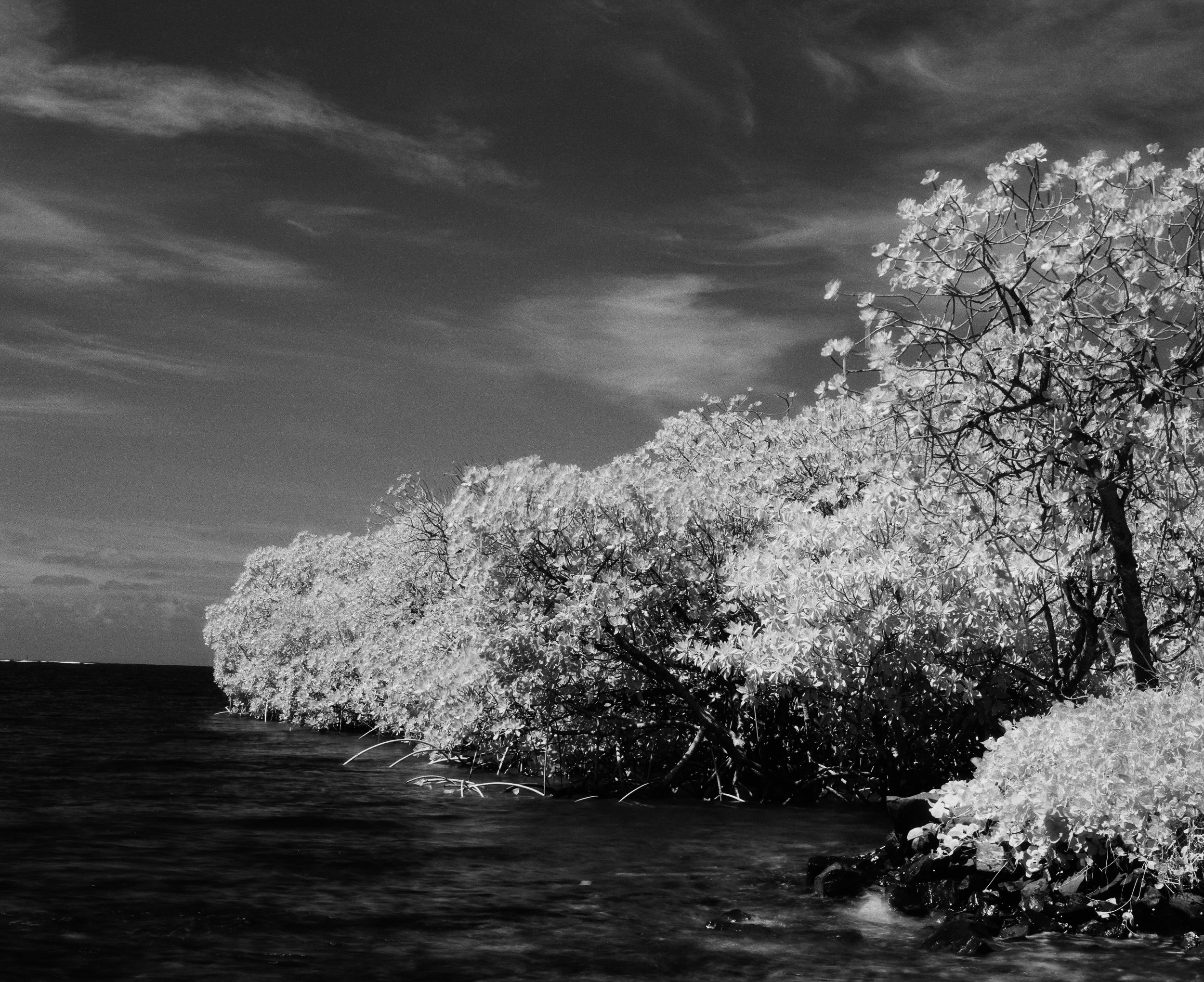 Doldrums, Pohnpei, Federated States of Micronesia