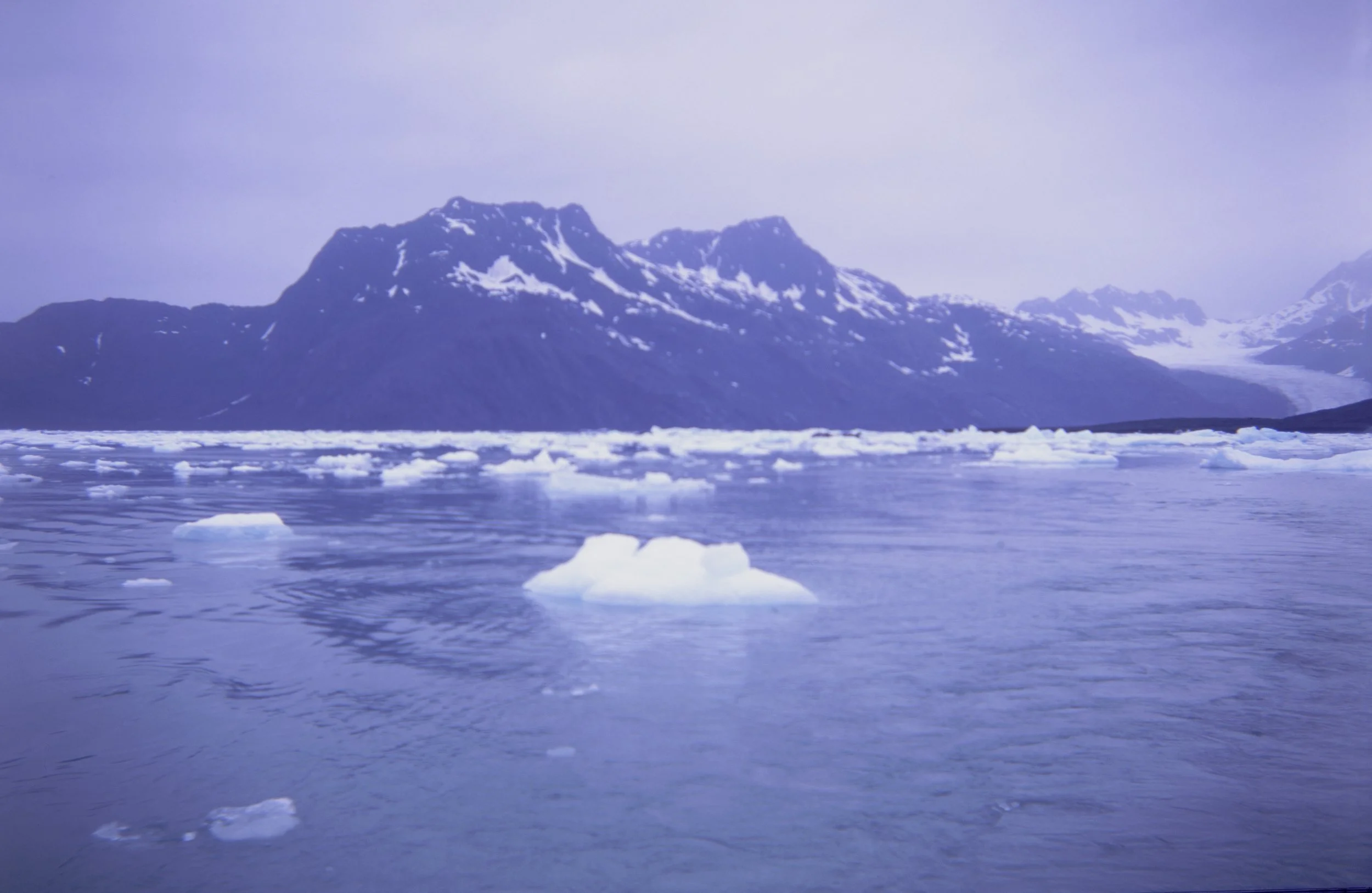 Columbia Glacier and the Endurance of Change