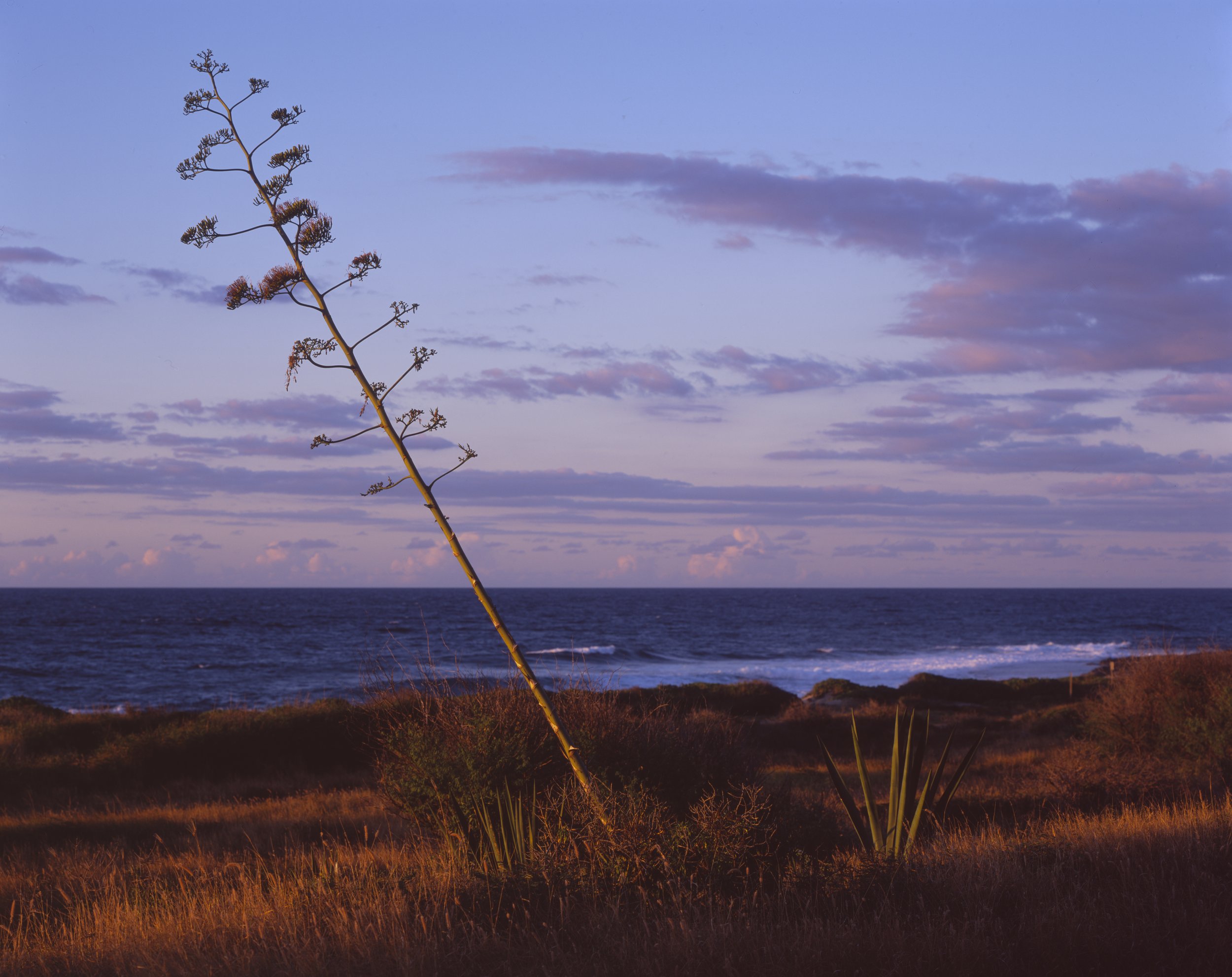 Ka’ena Point State Park, Oahu, Hawaii