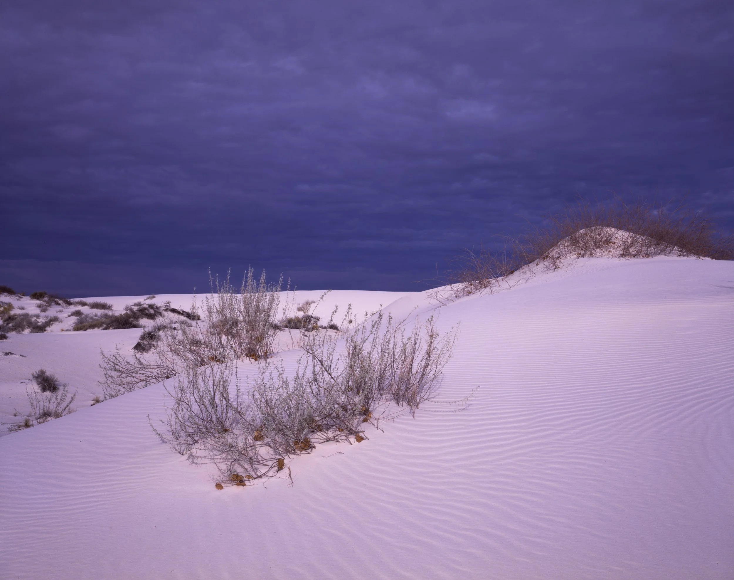 White Sands National Park I, Doña Ana County, New Mexico — 4x5 Film