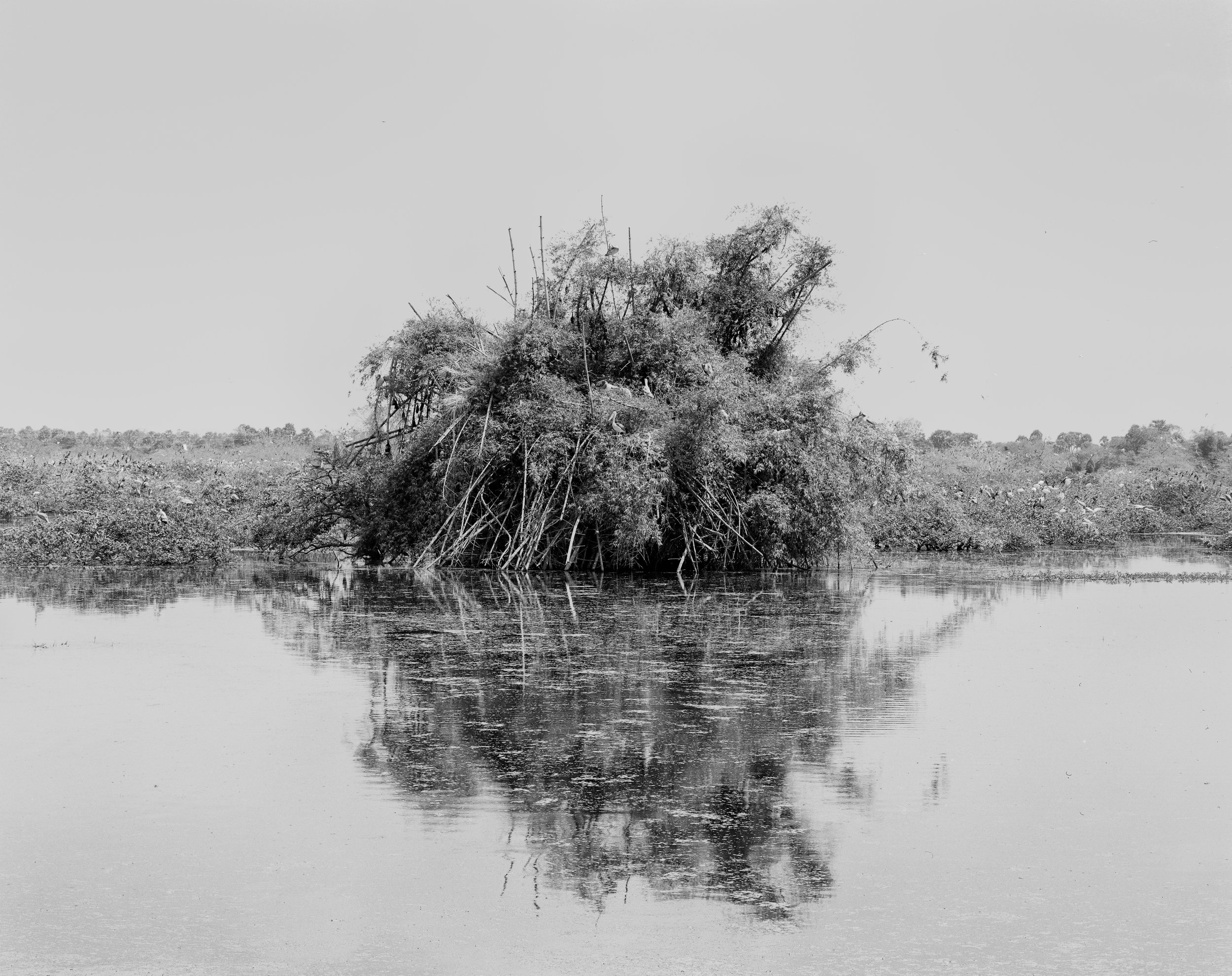 Vedanthangal Bird Sanctuary, Tamil Nadu, India