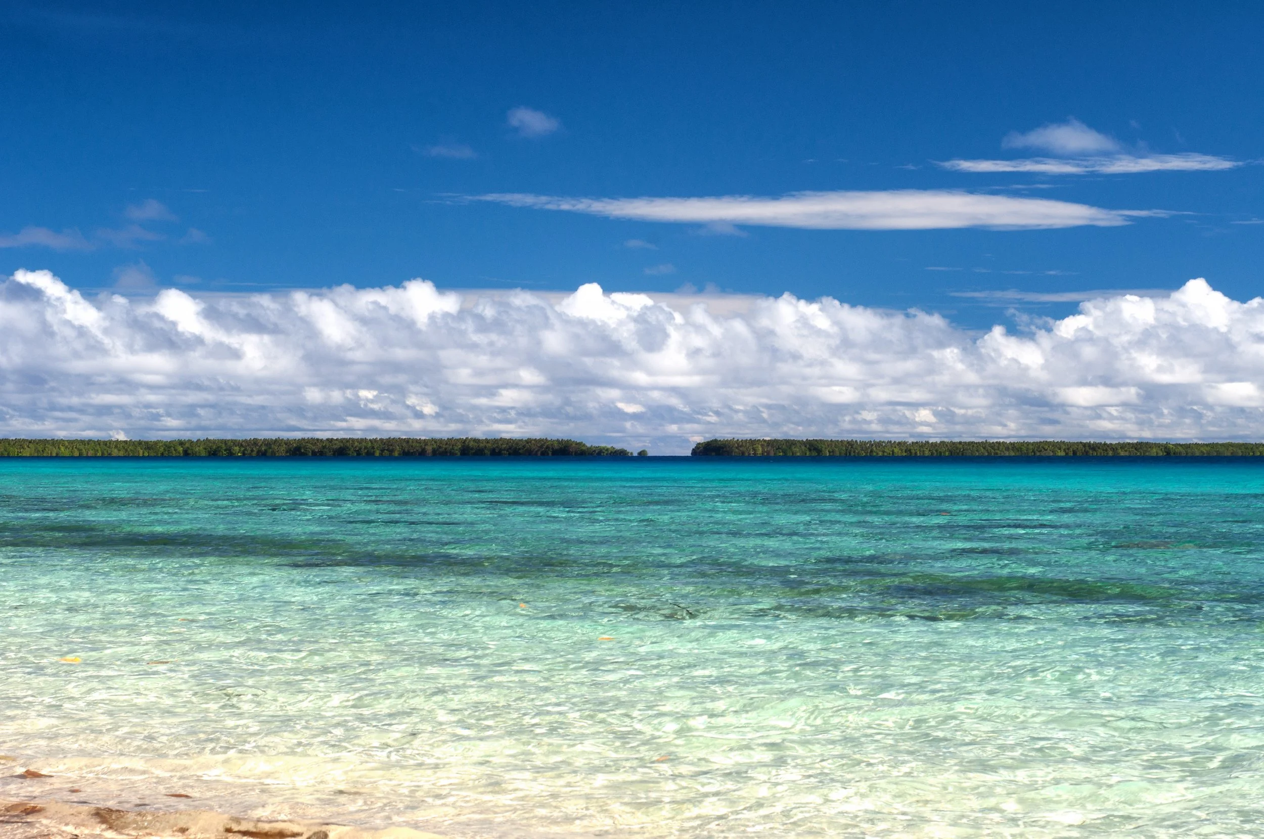 Ant Atoll, Pohnpei, Federated States of Micronesia