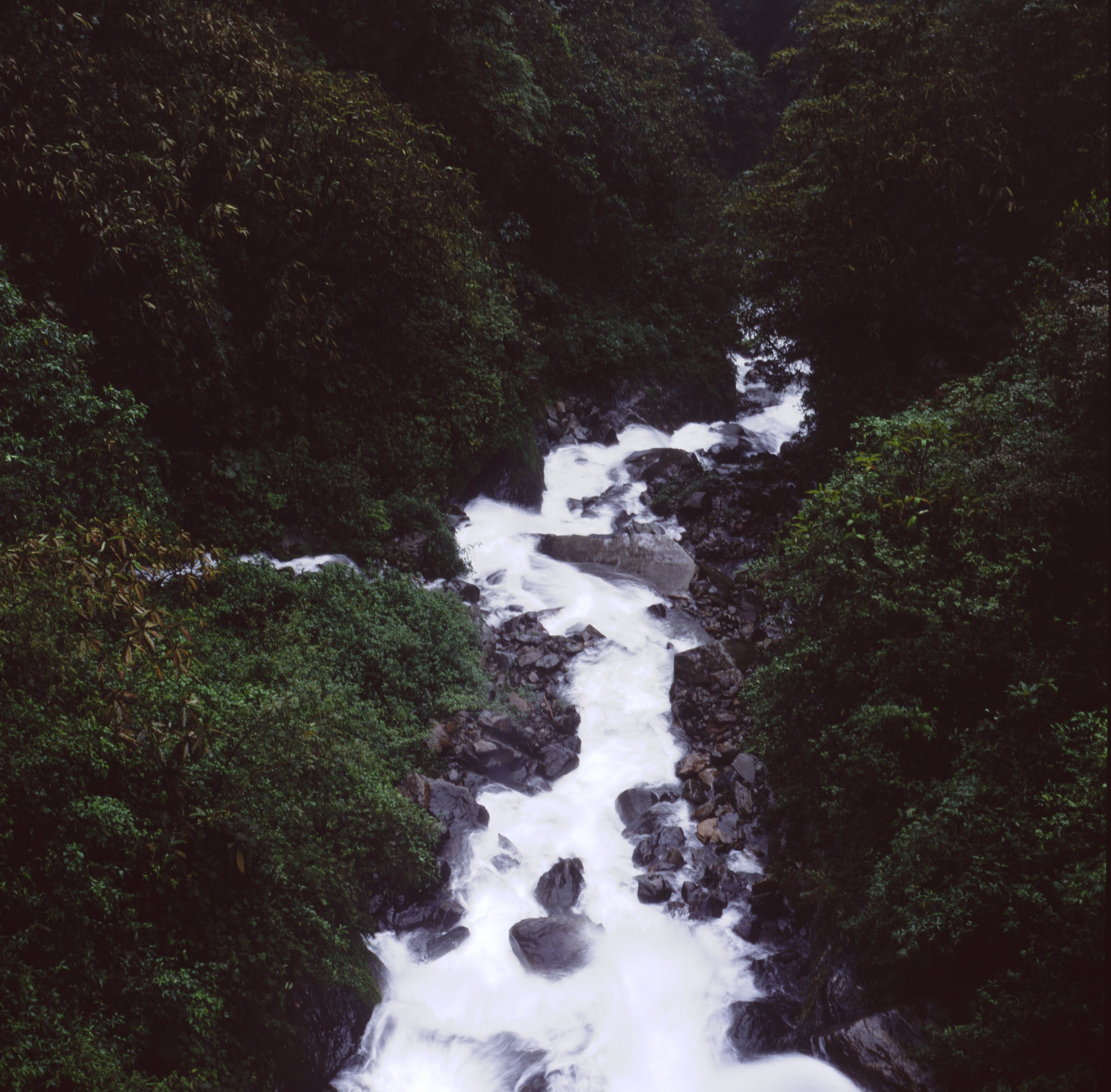 Mishmi Hills, Lower Dibang Valley, Arunachal Pradesh, India