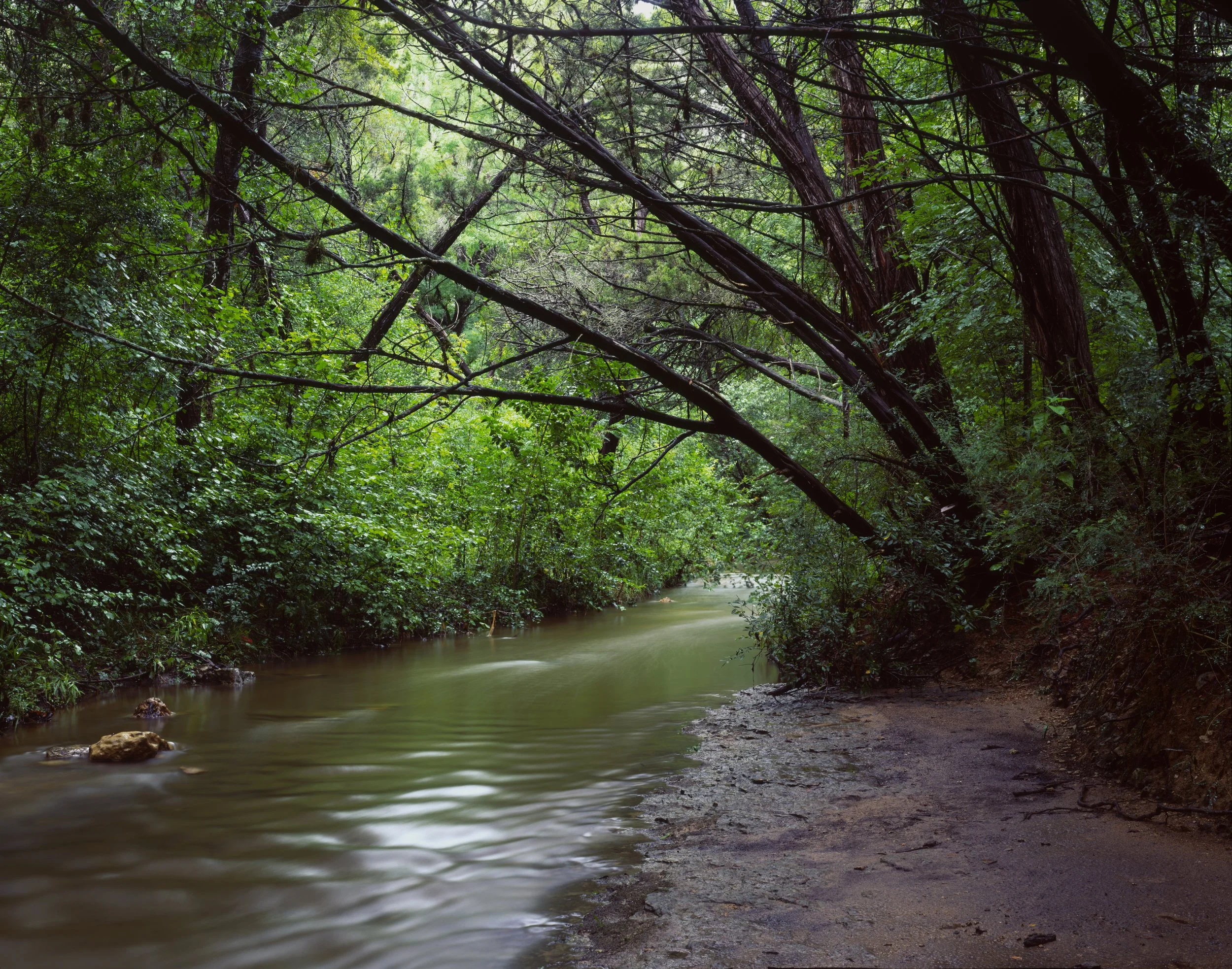 Mayfield Park & Preserve, Tarrytown, Austin, Travis County, Texas — 8x10 Film