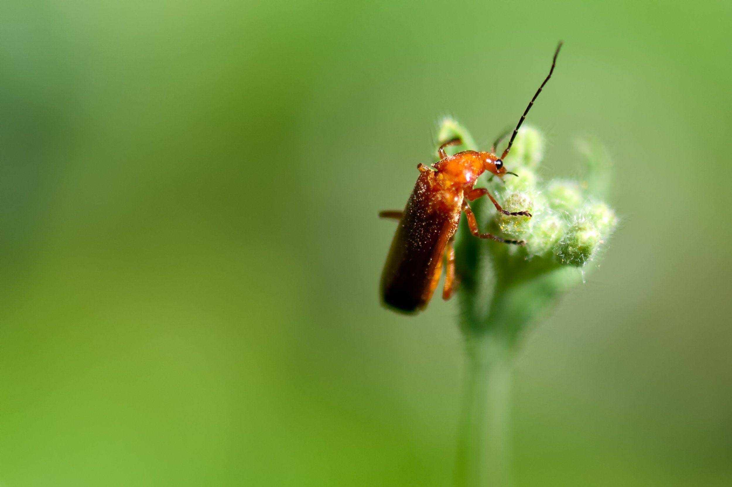 DSC_6235-Edit.jpg
