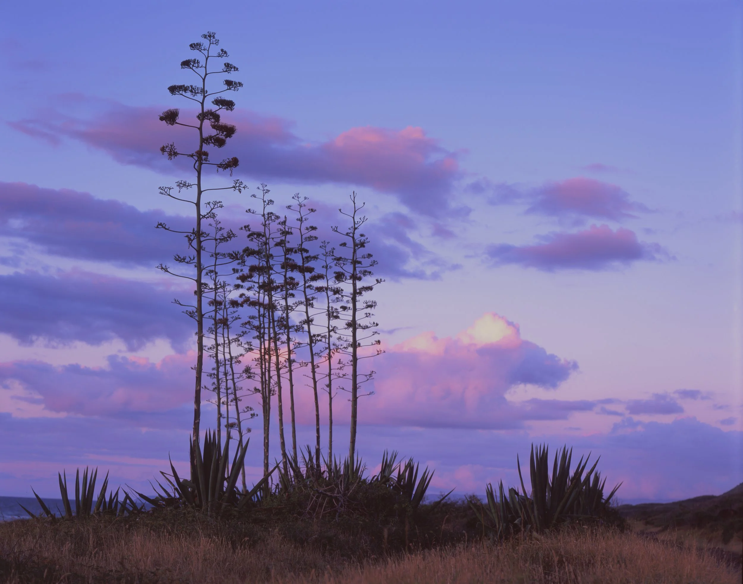 Ka’ena Point State Park, Oahu, Hawaii