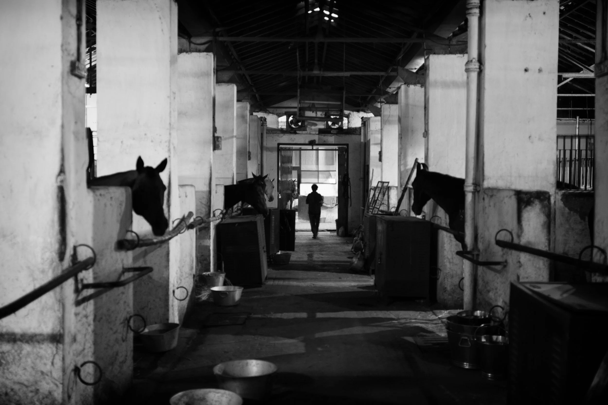 Racecourse, Mahalaxmi, Mumbai, India
