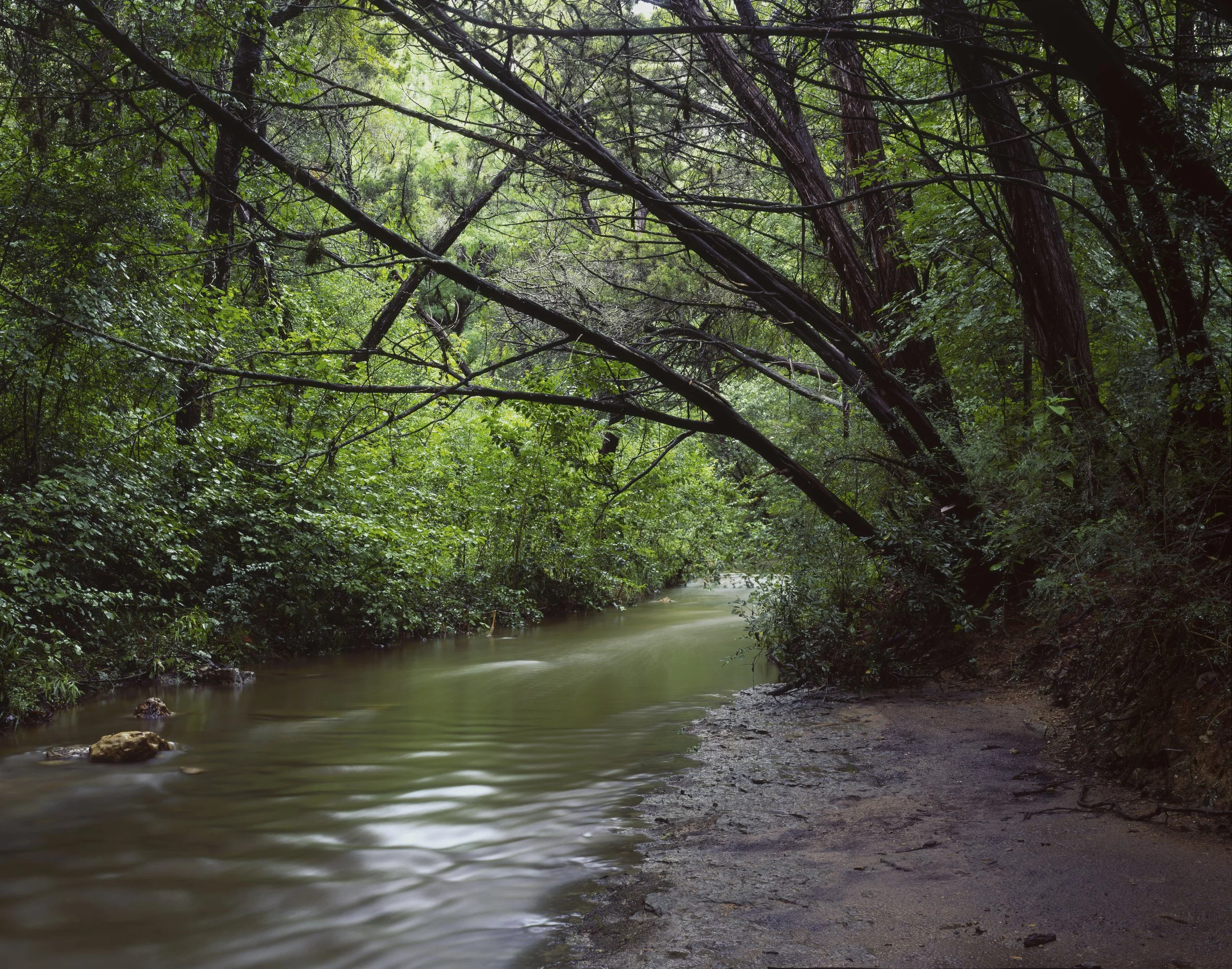 20180817 Mayfield Park final.jpg