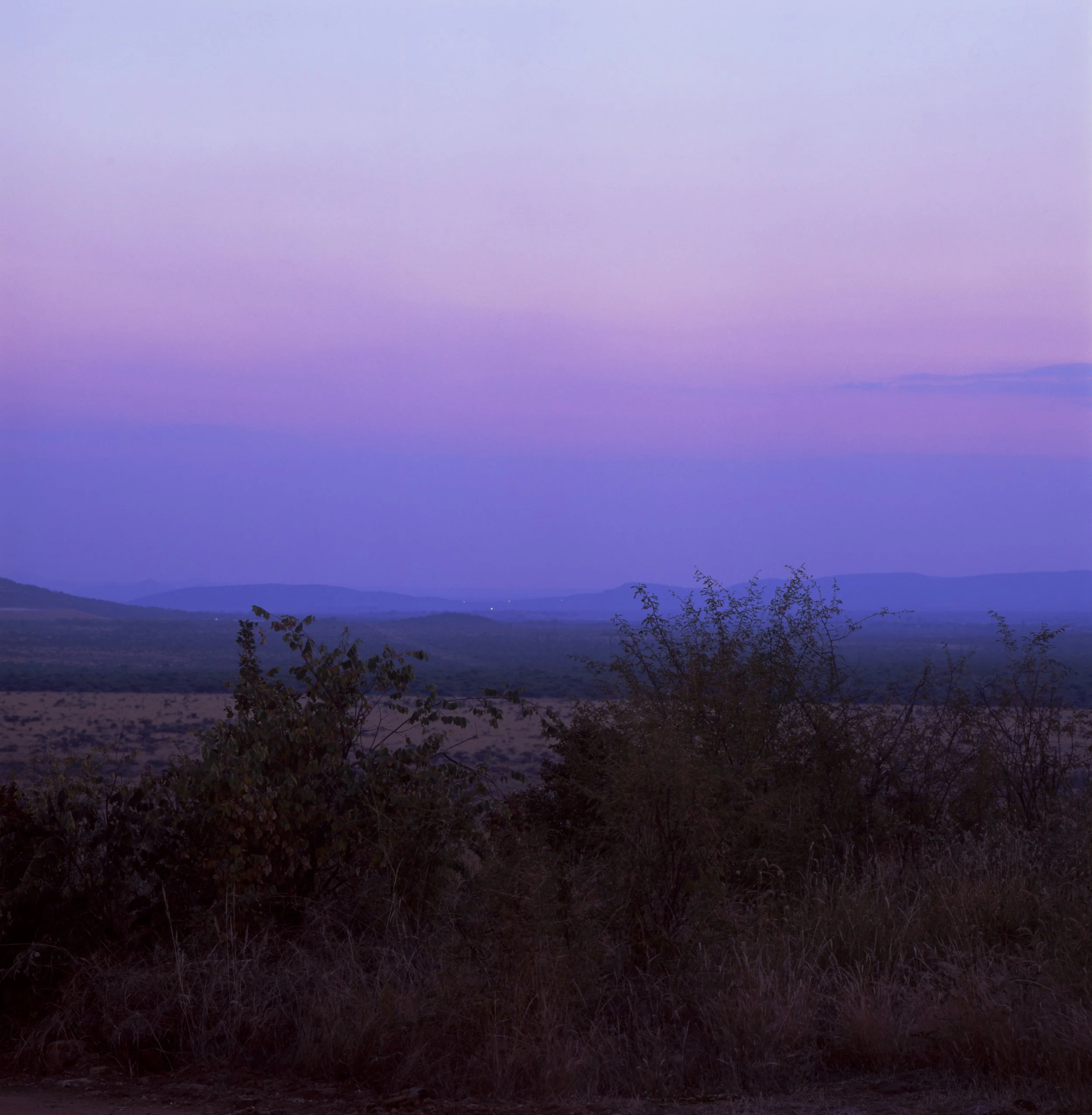 Pastel pink and purple twilight sky over the plains of Pilanesberg National Park, North-West, South Africa — 120 film (6x6) photograph