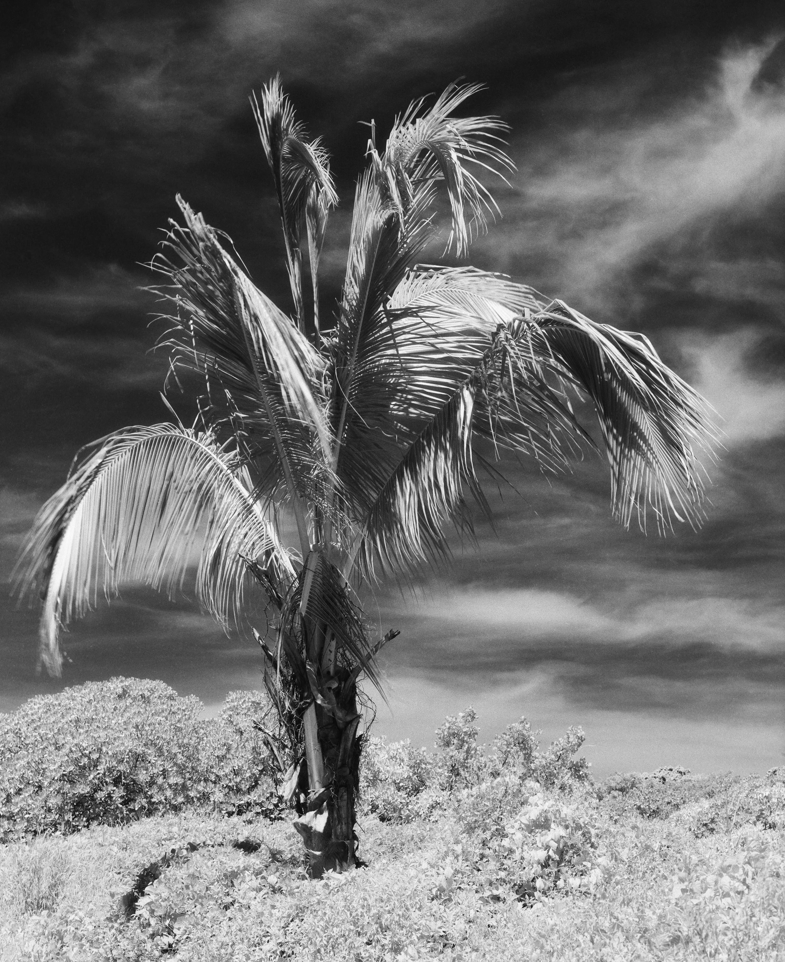 Sokehs Ridge, Pohnpei, Federated States of Micronesia