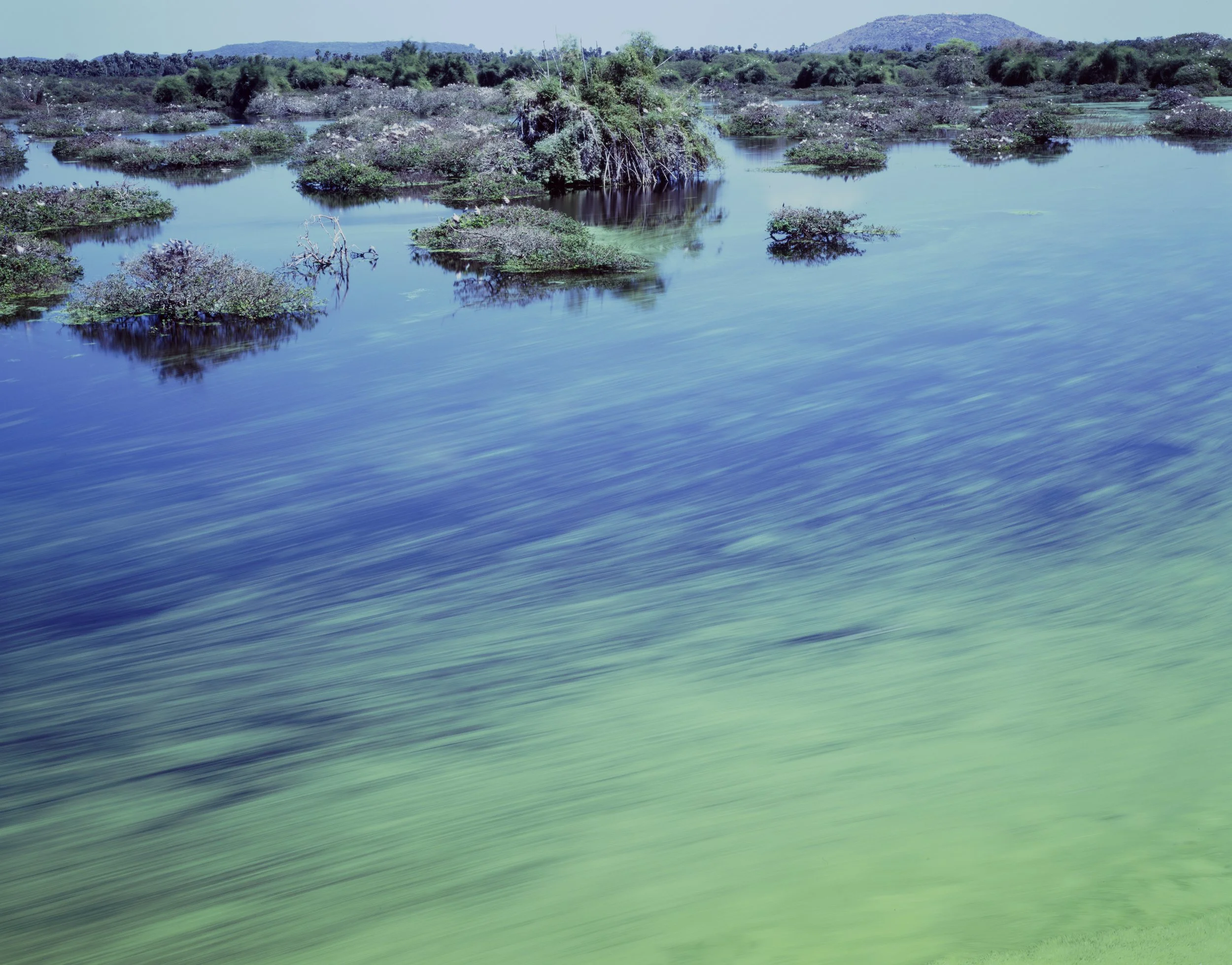 Vedanthangal Bird Sanctuary, Tamil Nadu, India