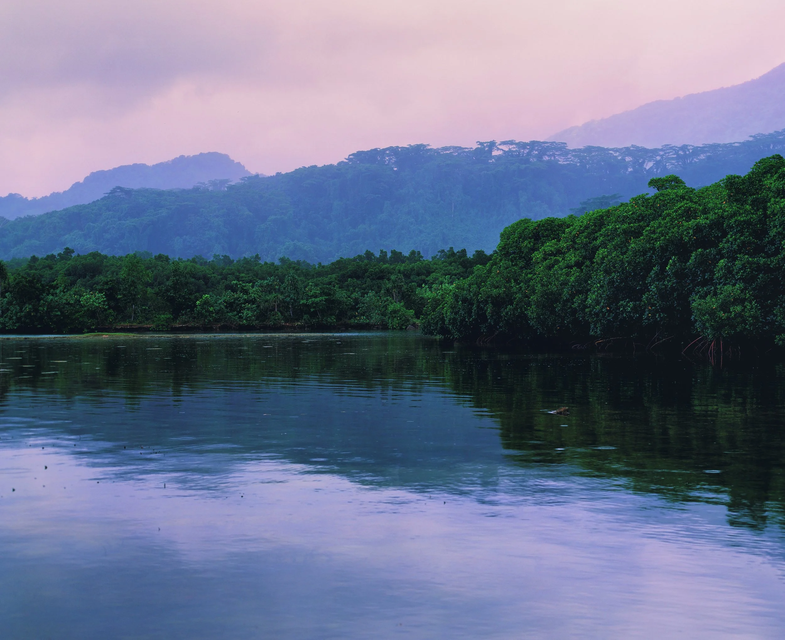 Rontiki, Pohnpei, Federated States of Micronesia