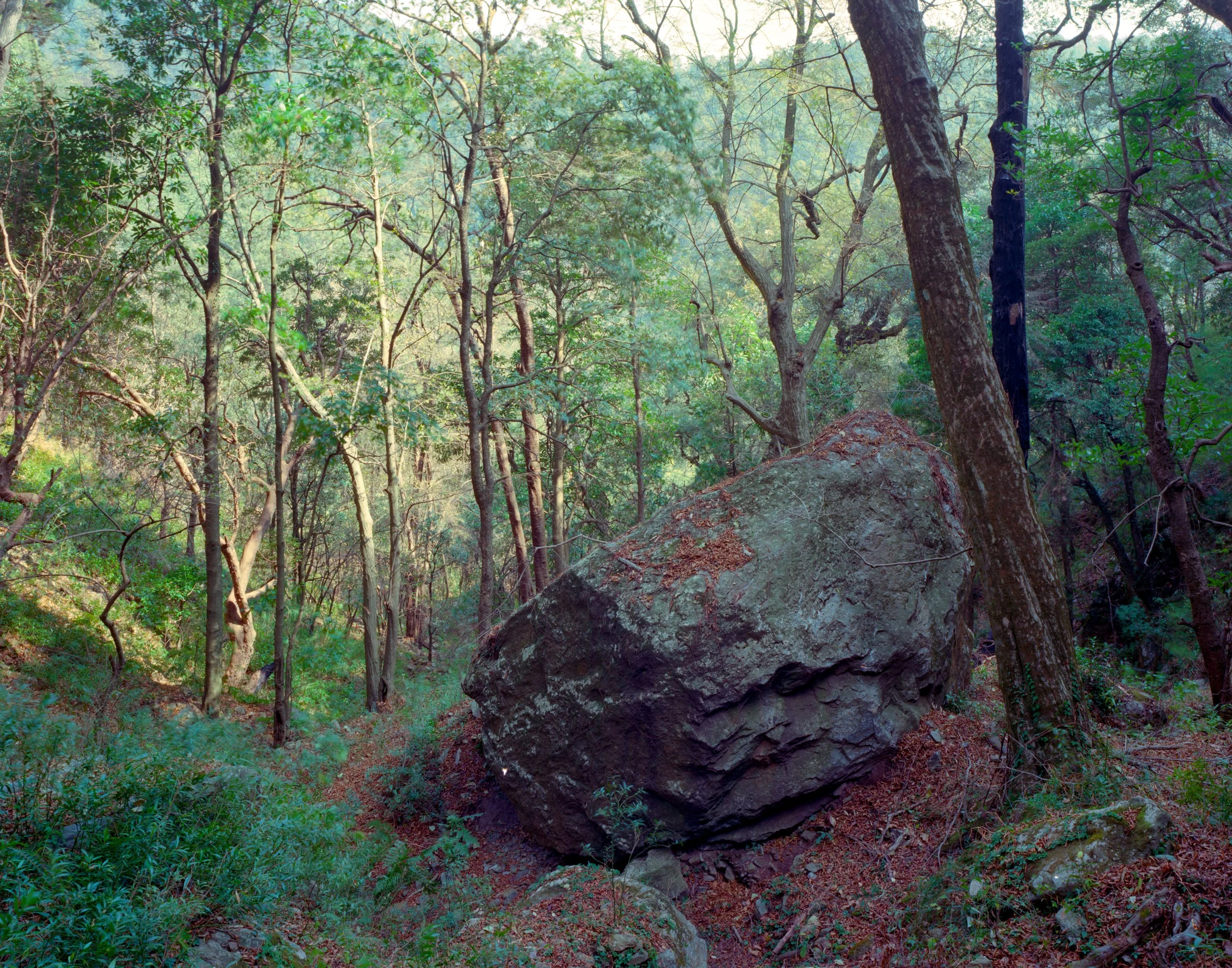 Maheshkhan, Uttarakhand, India