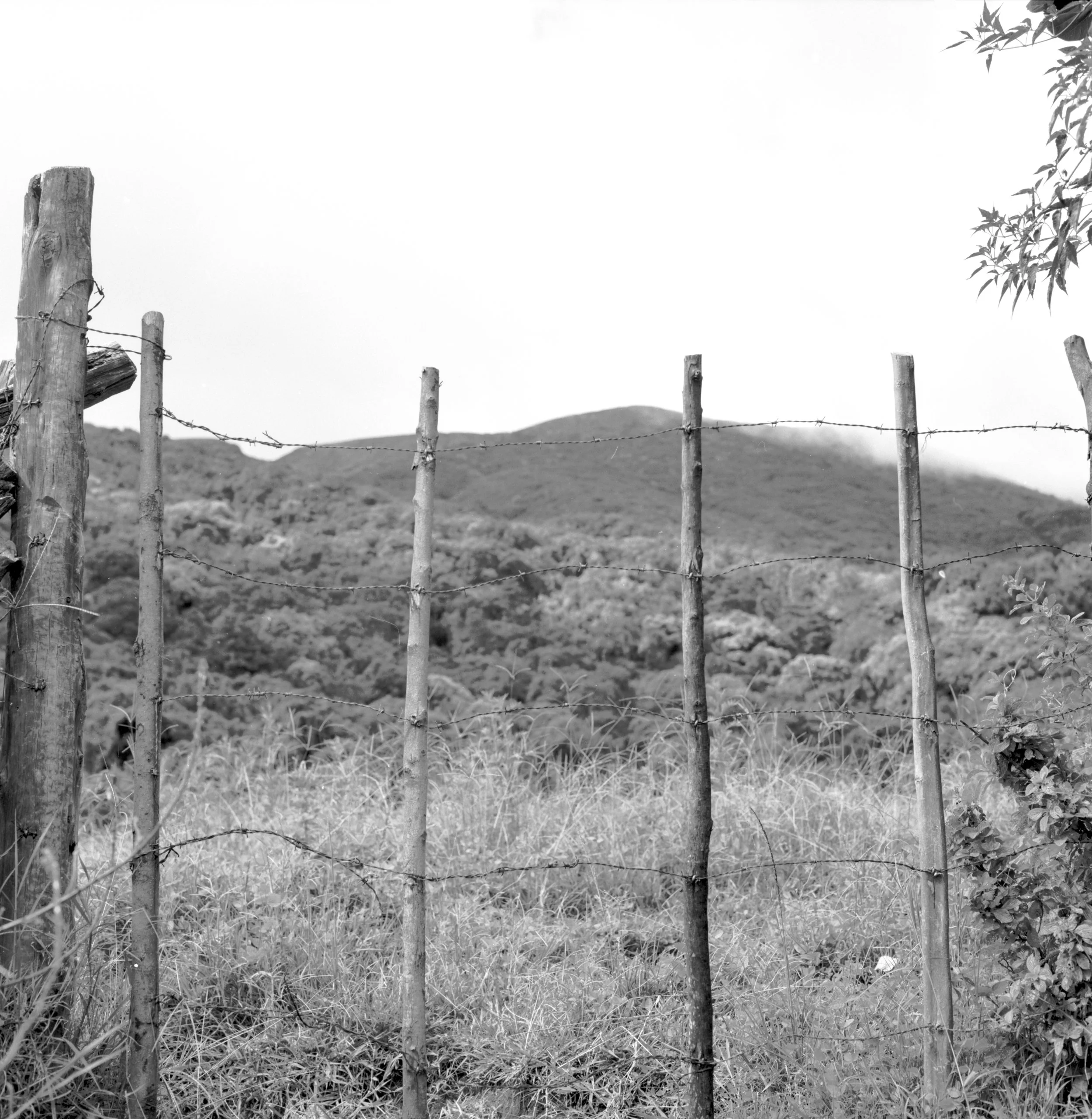 Los Volcanoes National Park, Santa Ana, El Salvador - 120 Film (6x6)