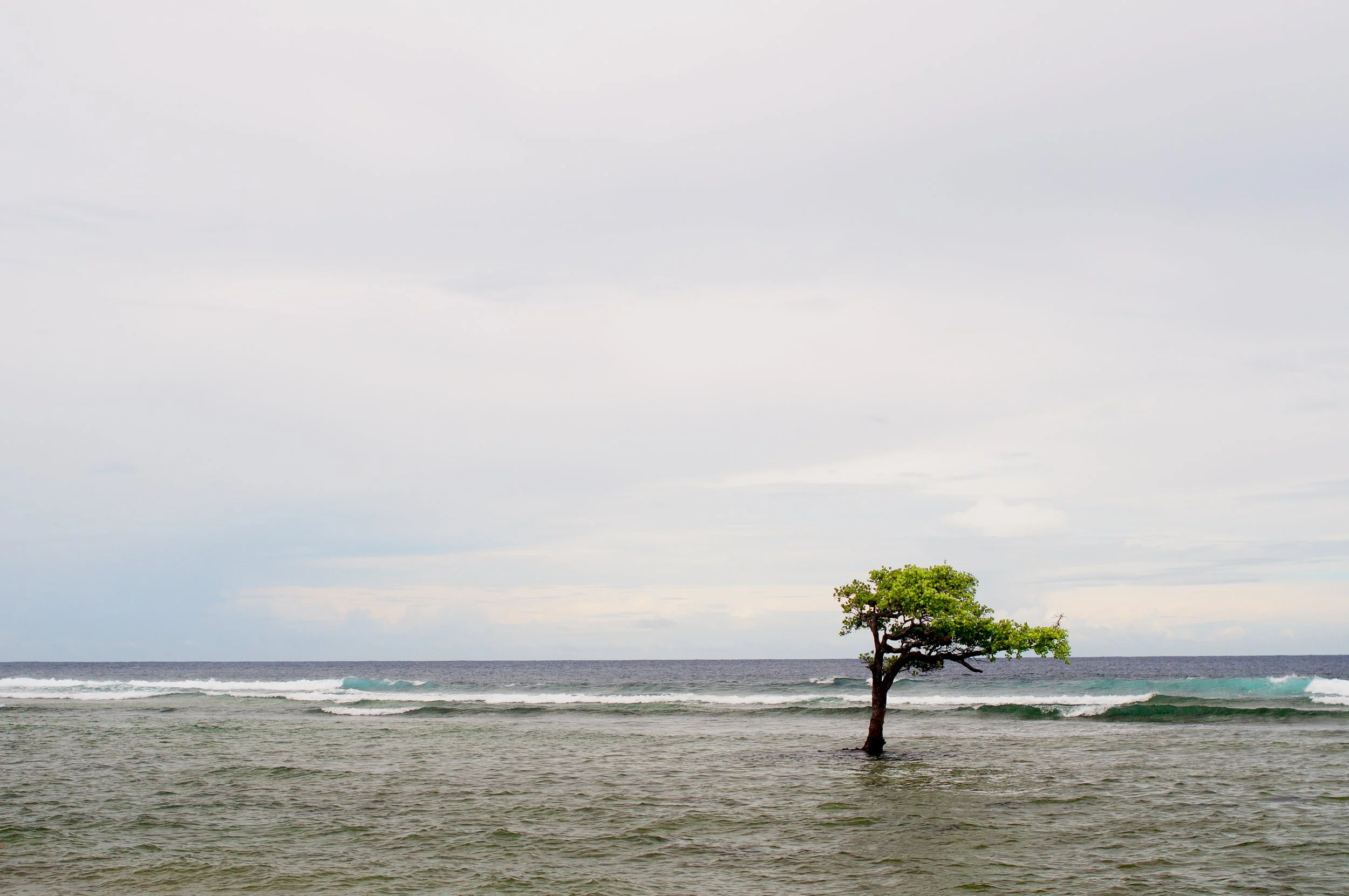 Utwa Ma, Kosrae, Federated States of Micronesia