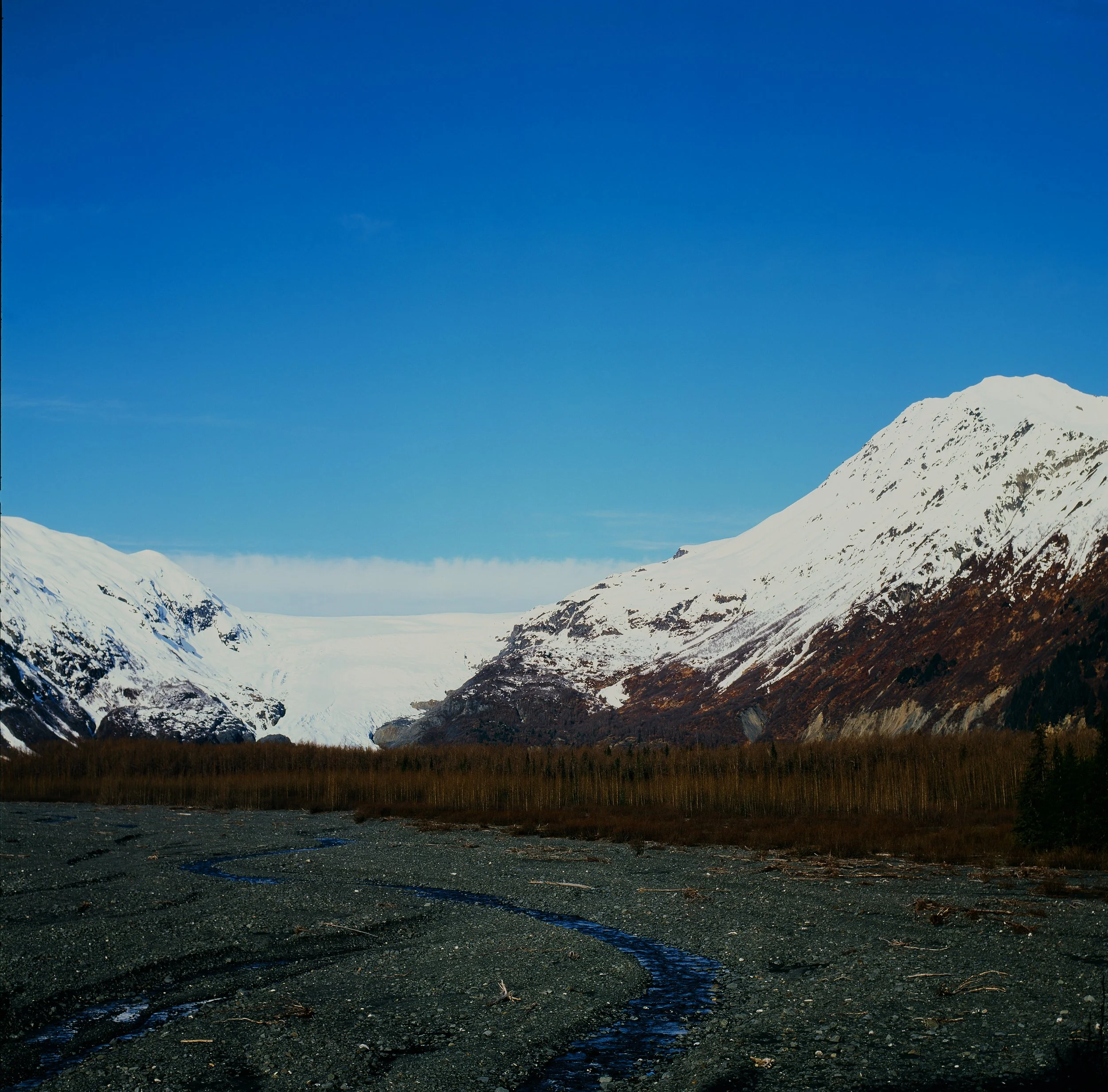 Exit Glacier II, Kenai Peninsula Borough, Alaska — 120 Film (6x6)
