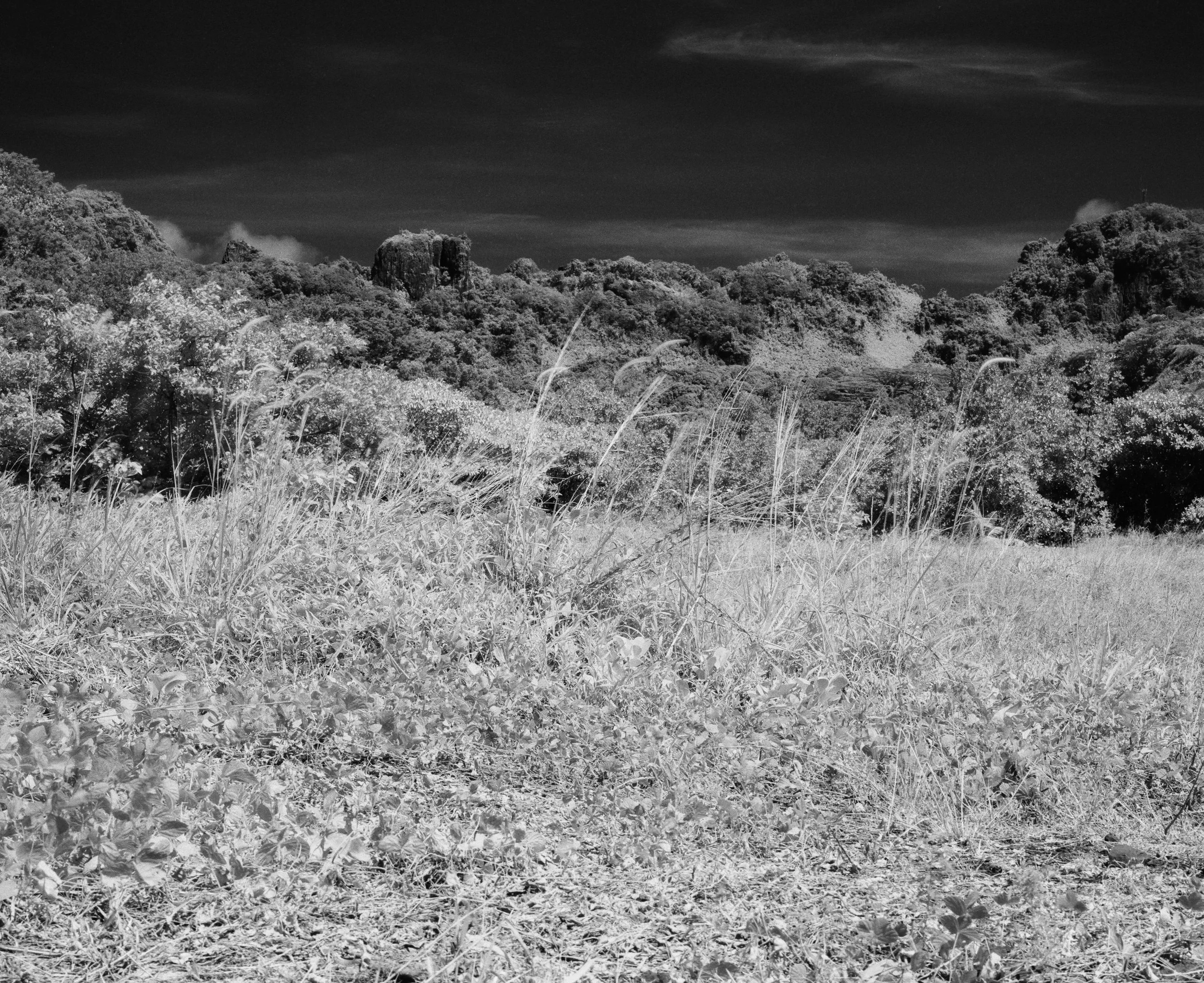 Sokehs Ridge, Pohnpei, Federated States of Micronesia
