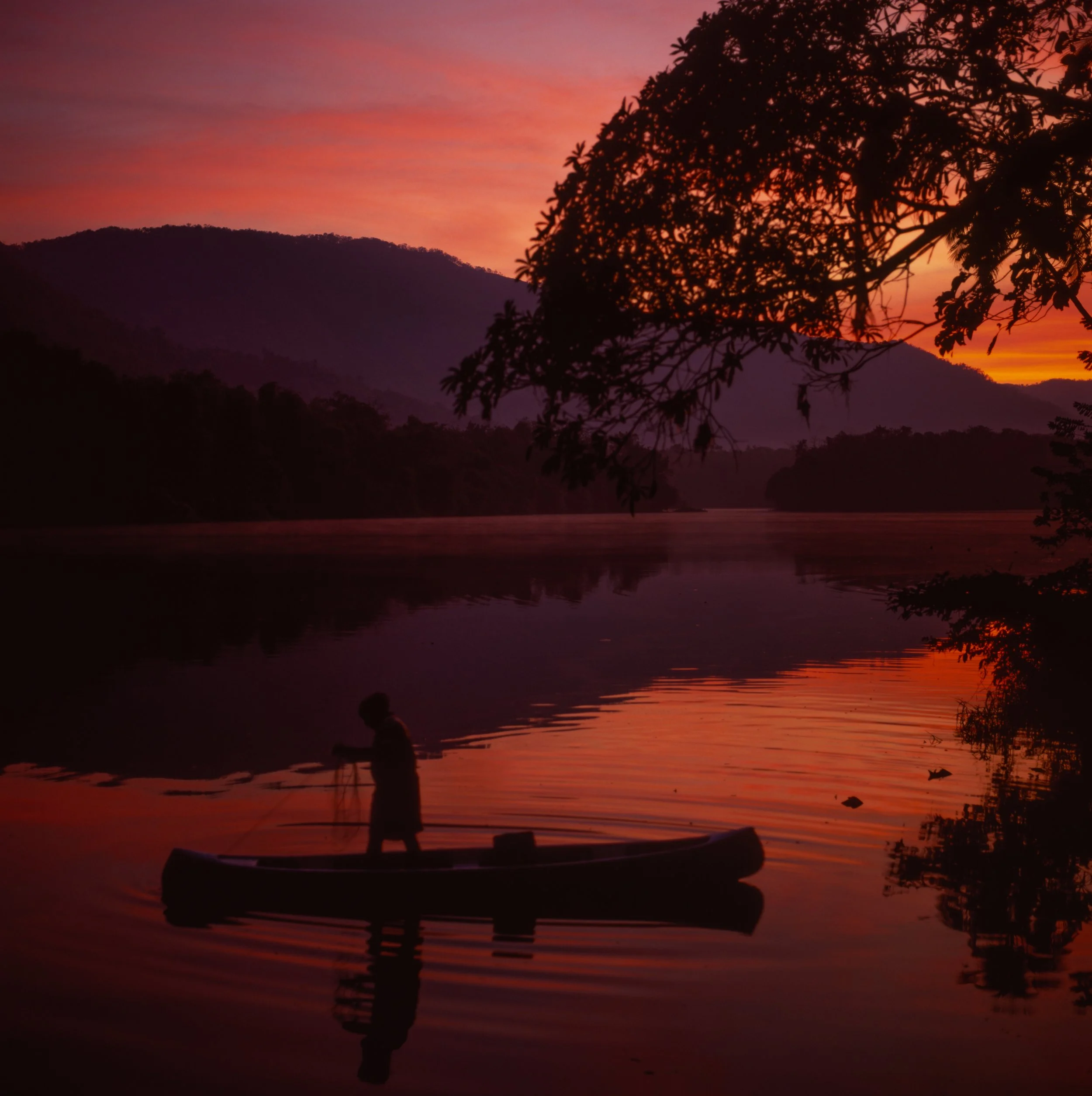 Thattekad, Kerala, India