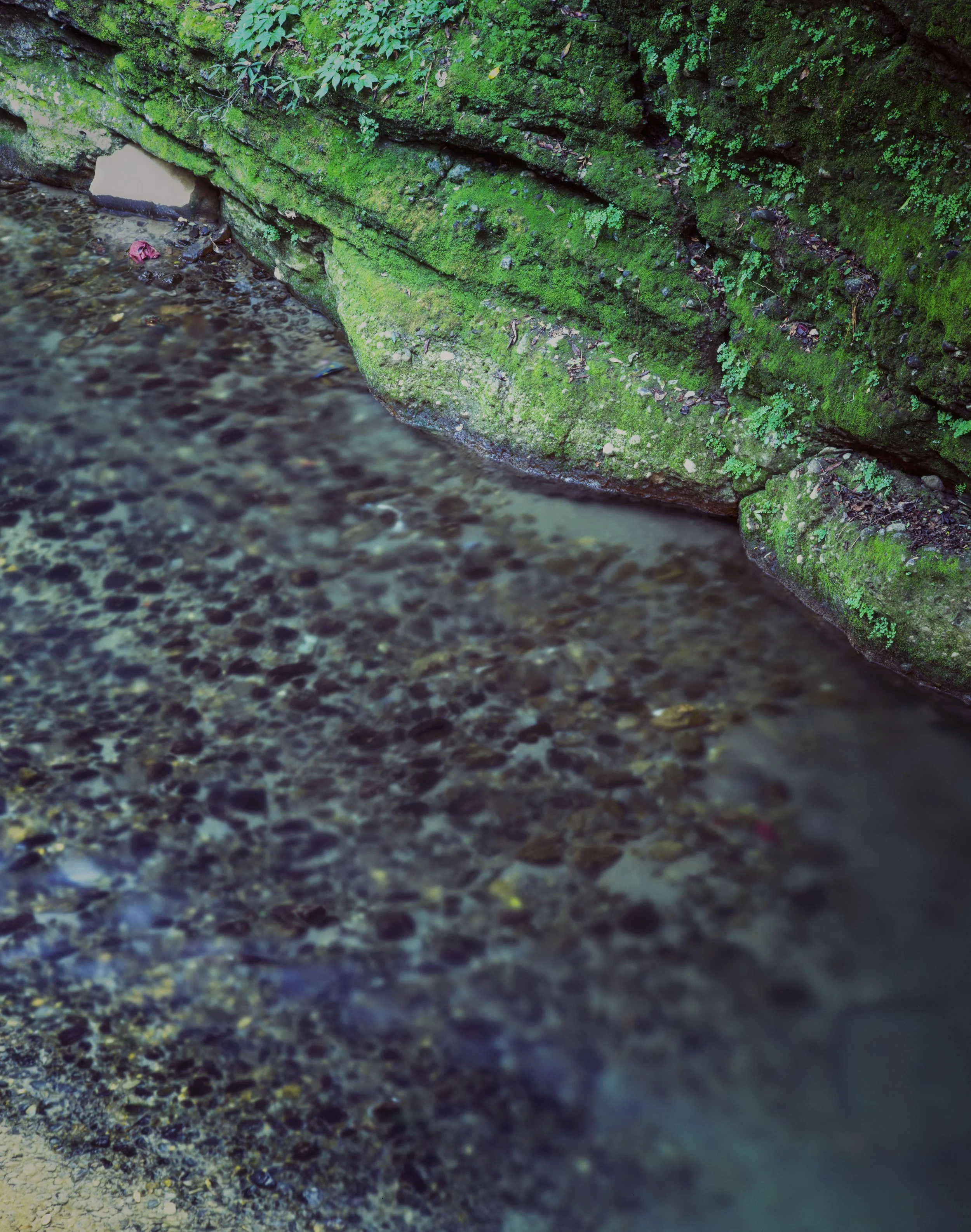 Tapkeshwar, Dehradun, Uttarakhand, India
