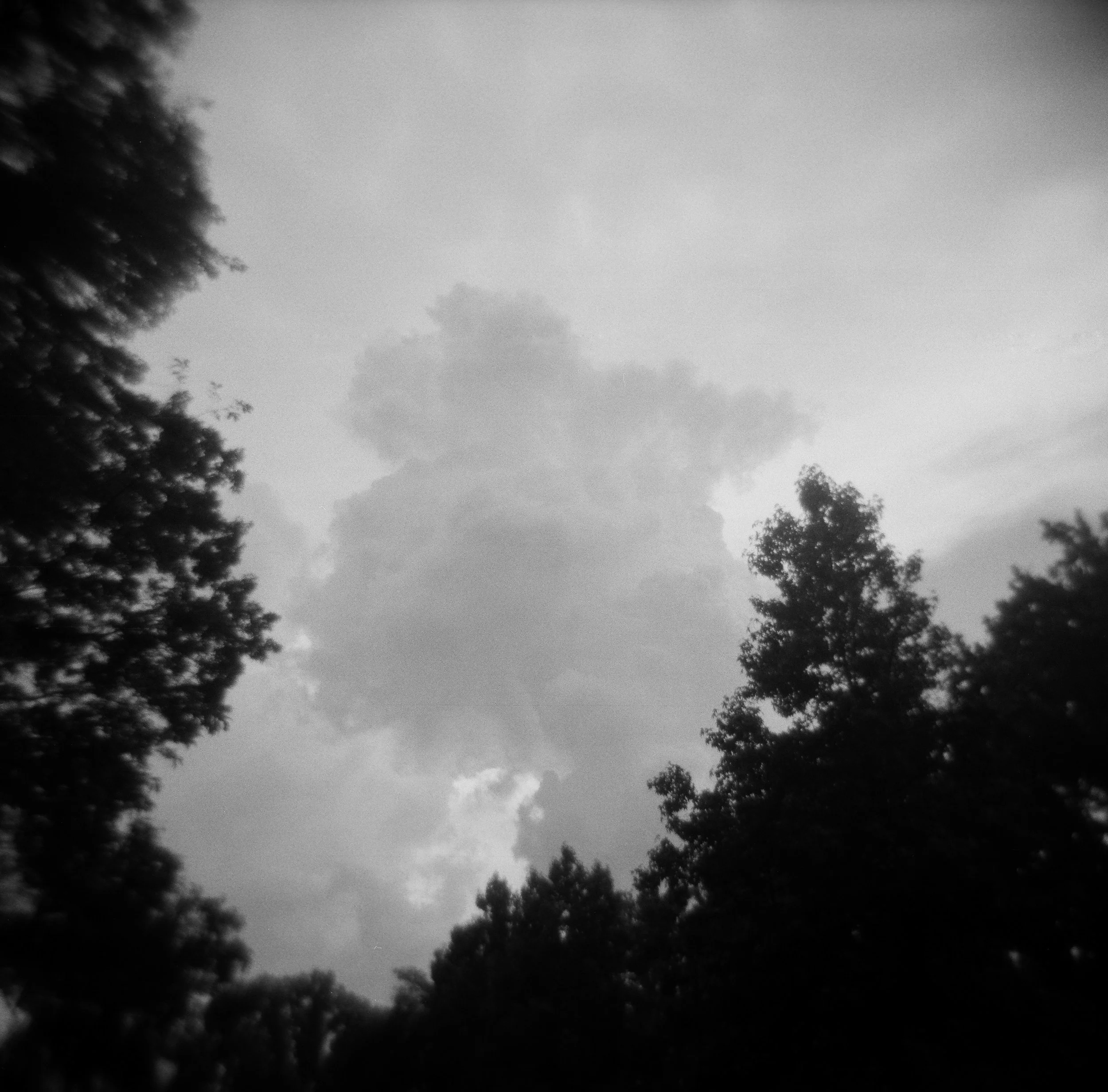 Tarrytown, Austin, Travis County, Texas — 120 Film (6x6)