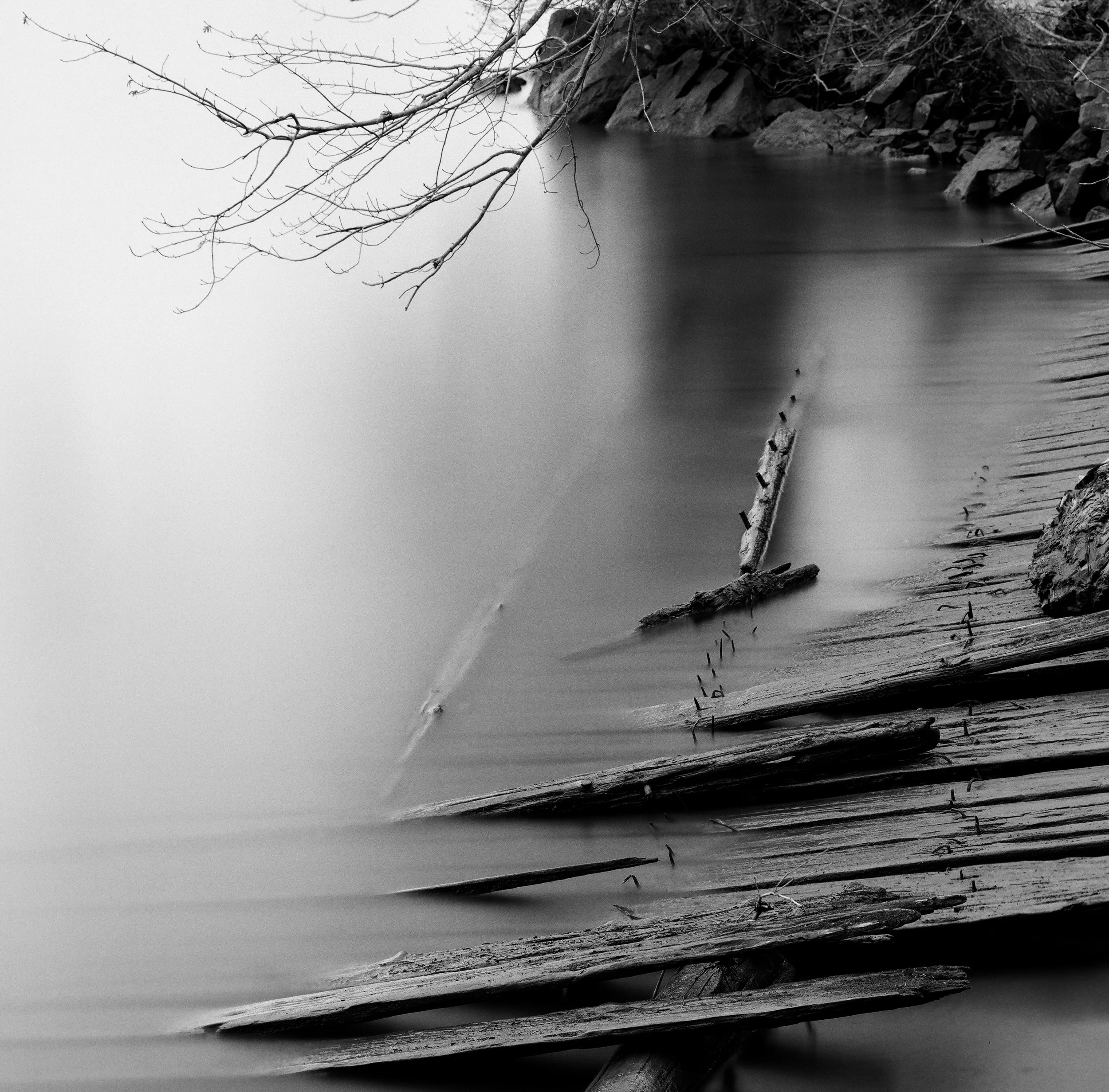 Theodore Roosevelt Island - Washington D.C. SW