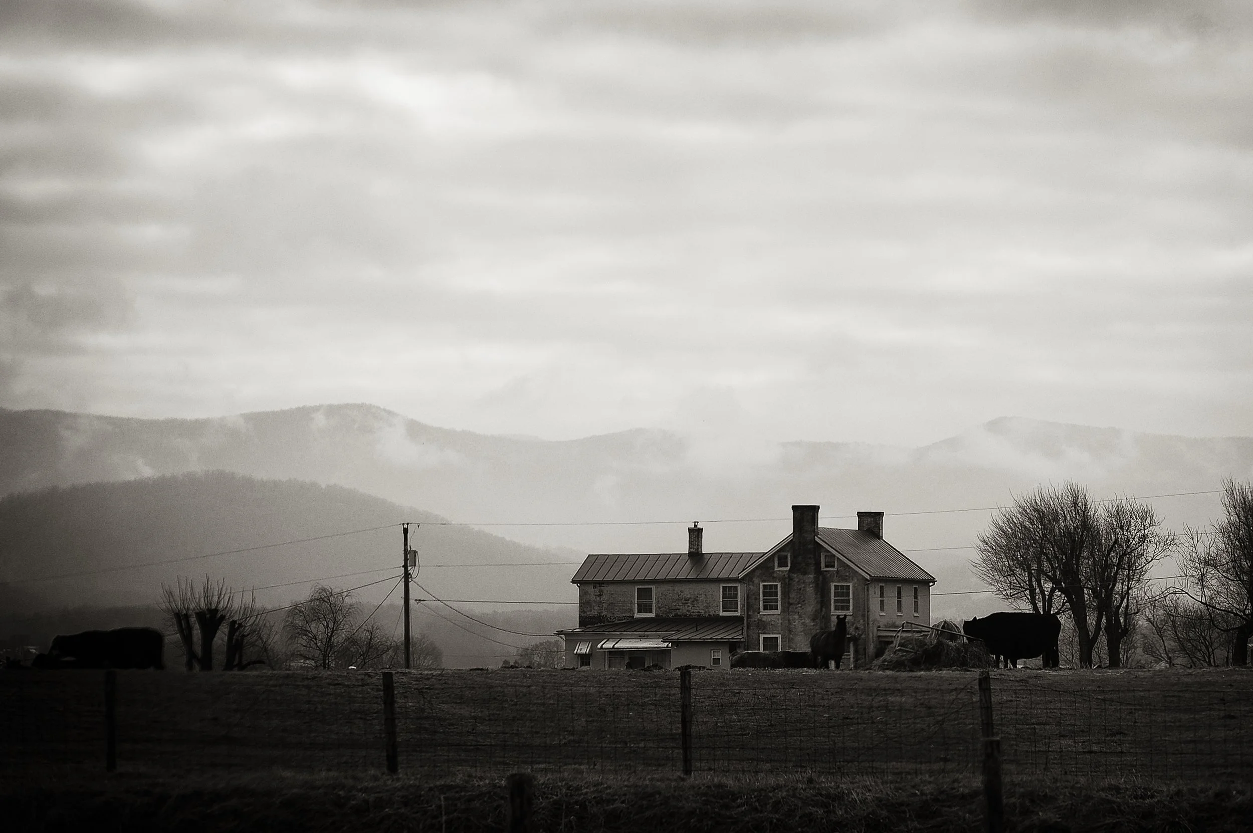 Shenandoah Farm, Virginia