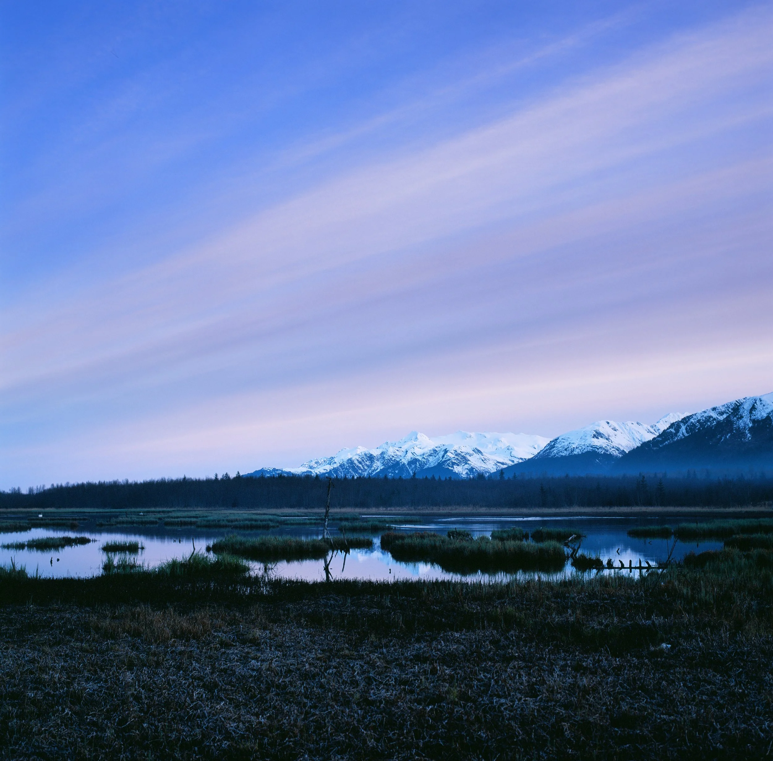 Nash Road, Seward, Kenai Peninsula Borough, Alaska — 120 Film (6x6)