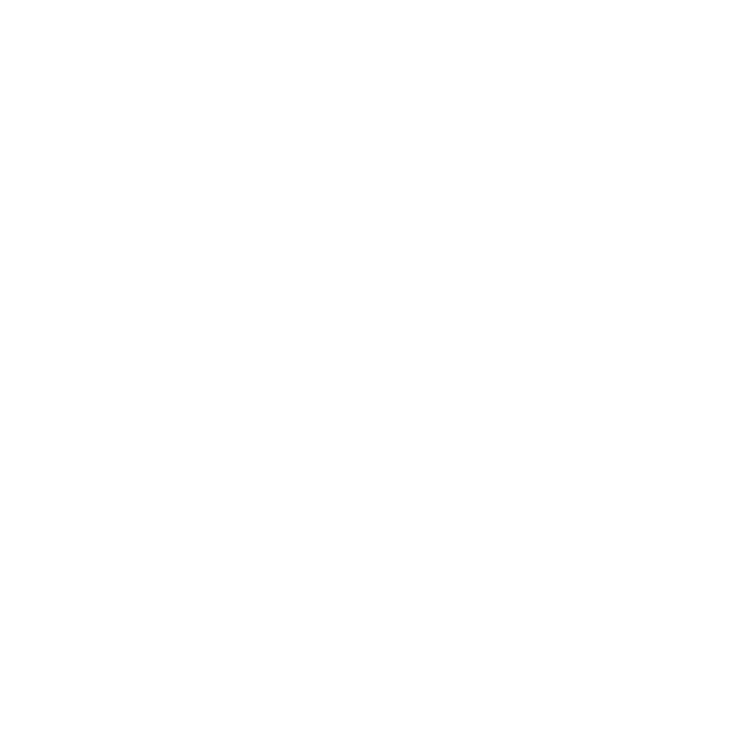 Mountain-Village-2017-Logo-White-on-Transparent.png