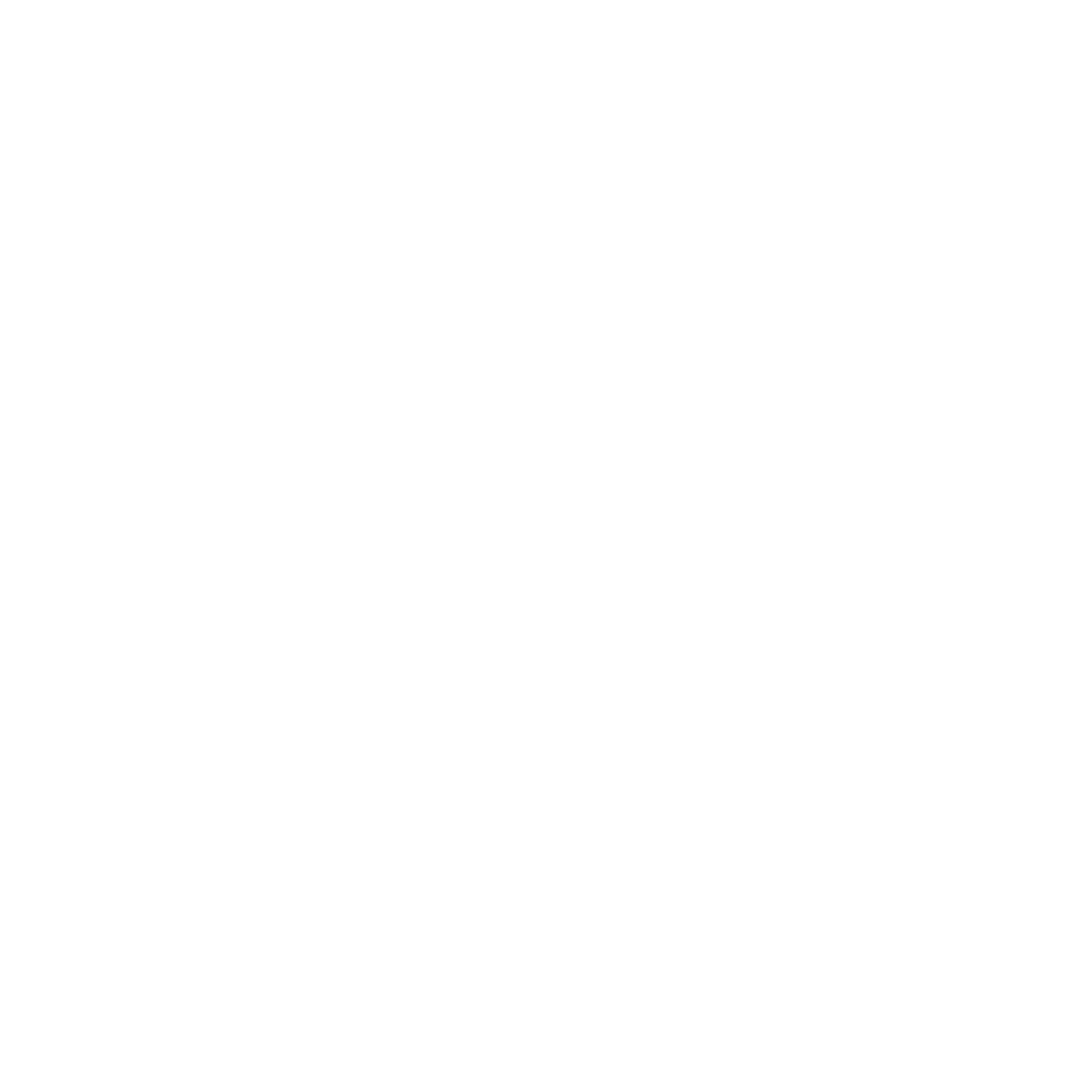 Sawtooth-Brewery-White-logo.png