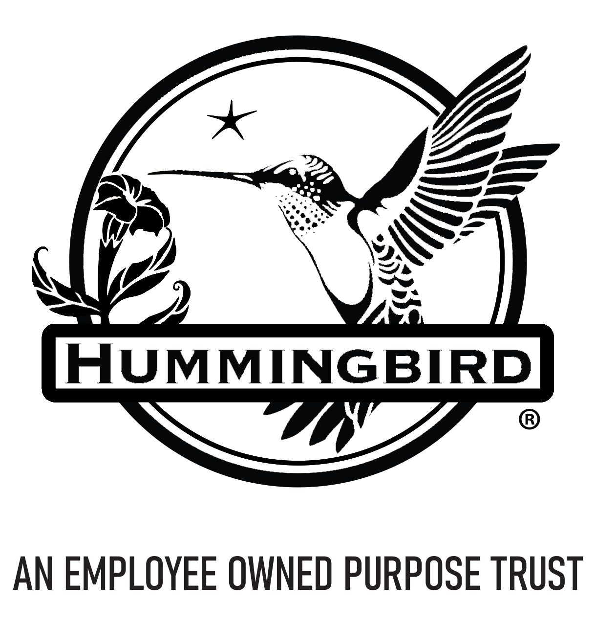 Hummingbird-Purpose-Trust-logo (2).png