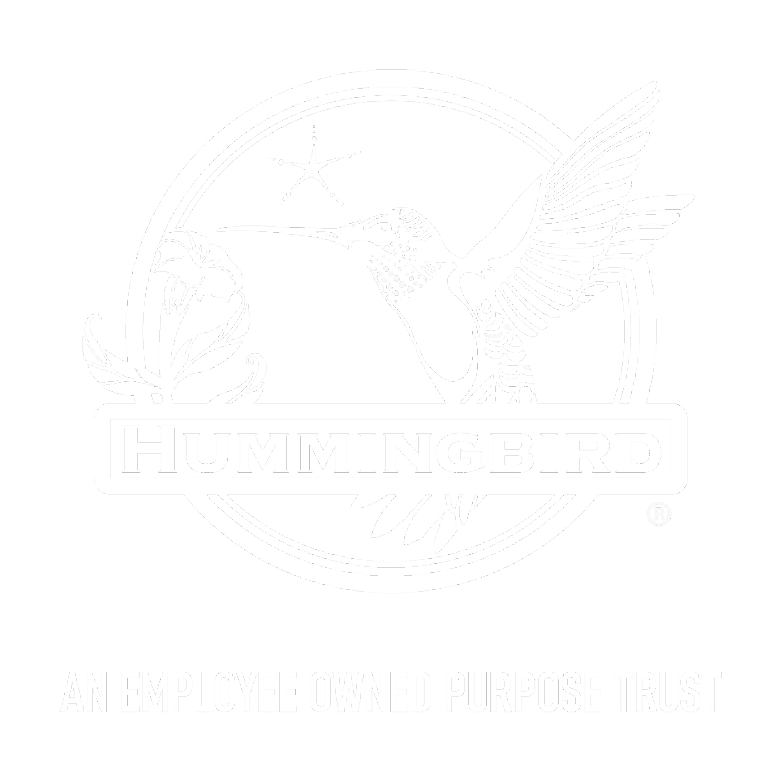 Hummingbird@4x (3).png