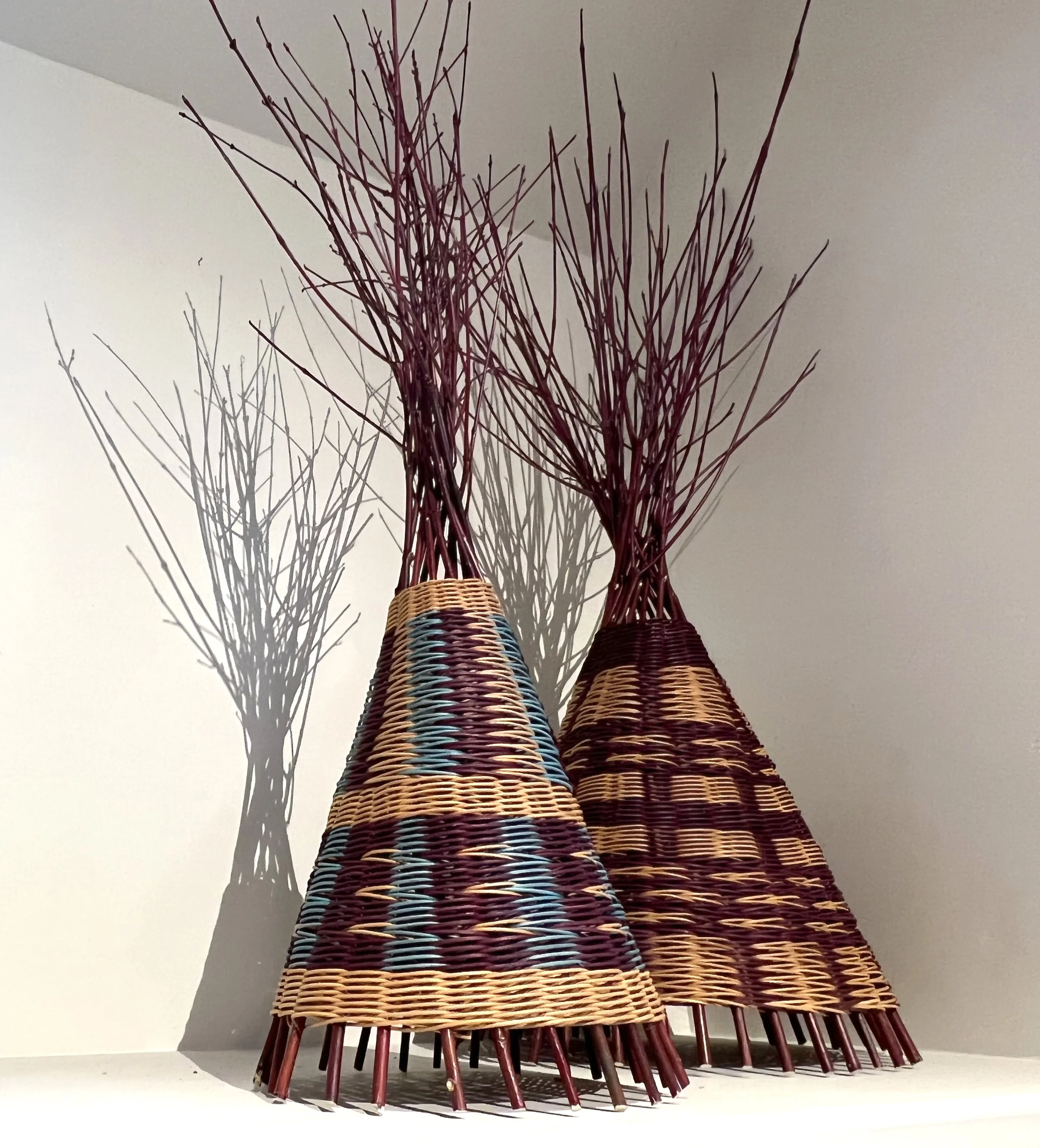 IMG-24312 tipi on sheve.jpg