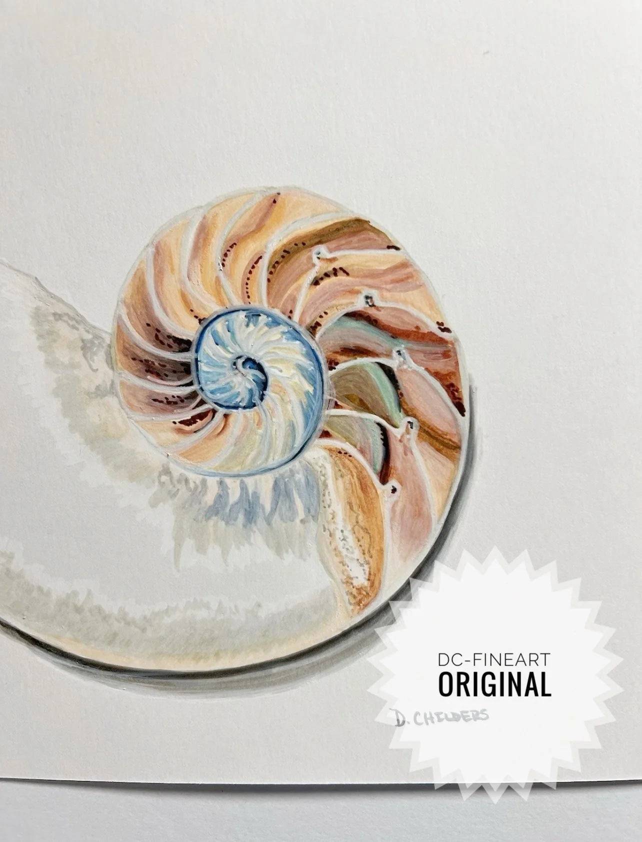 Sea Shell Delight