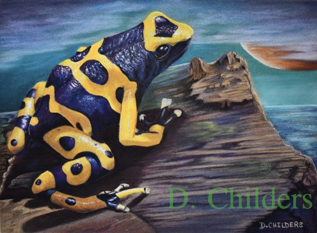 Bumblebee Dart Frog Awakens    Pastel