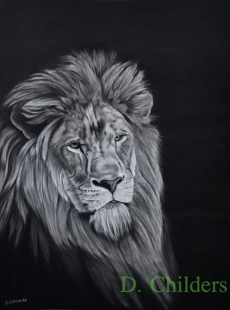 lion charcoal wm.jpg