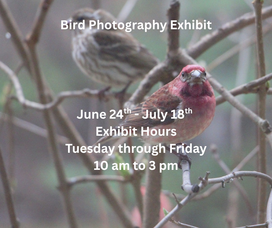Bird Photography Exhibit