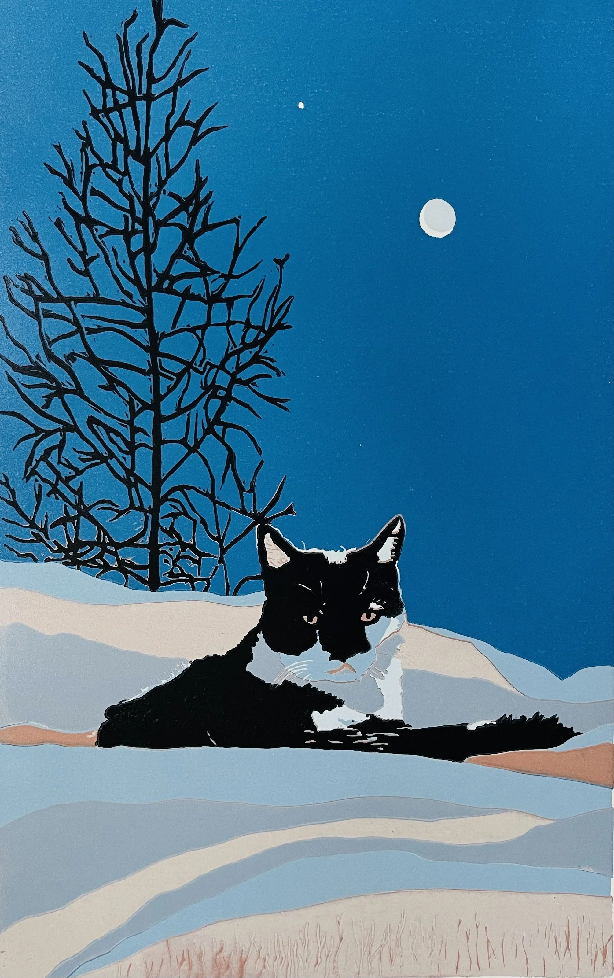 Moonlight Landscape w/Cat unframed