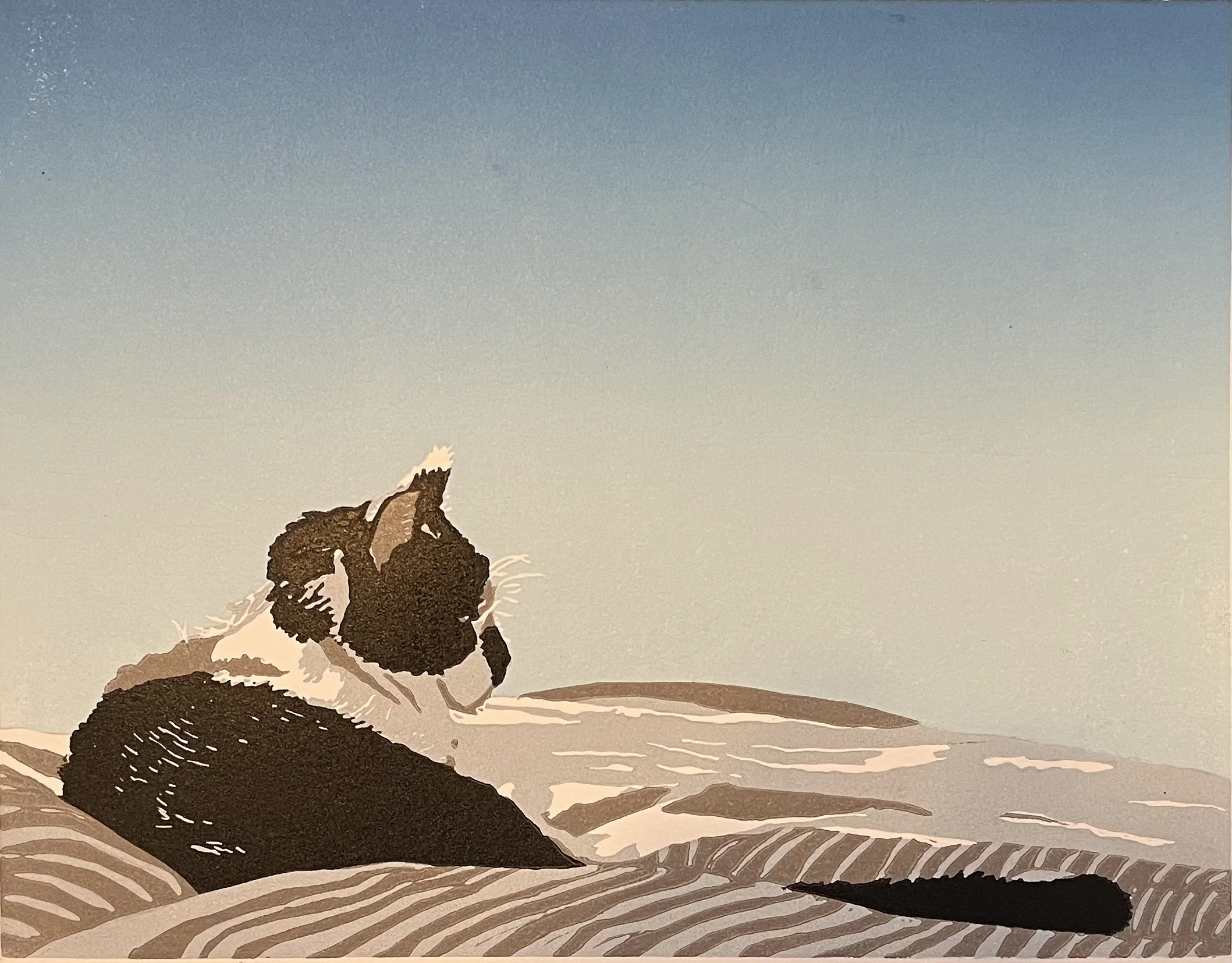 Landscape w/Cat, 2025, unframed