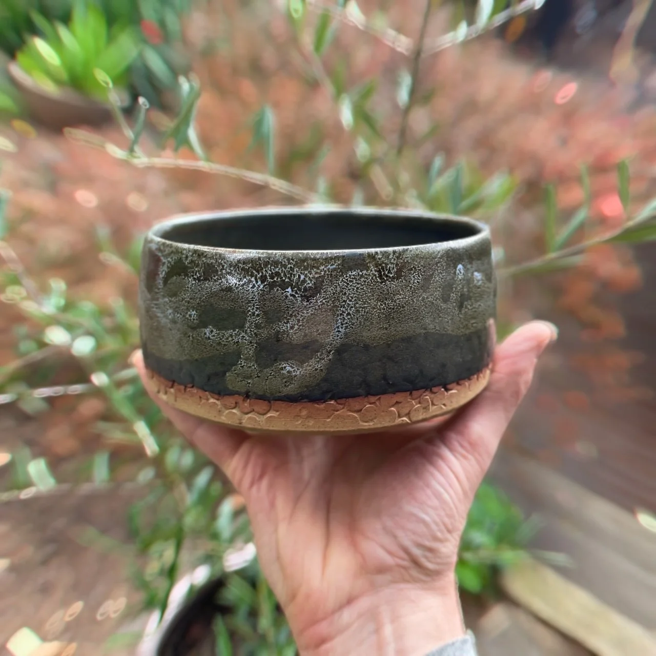 Handmade ceramic dog bowls Canberra pottery — Sterling & Son