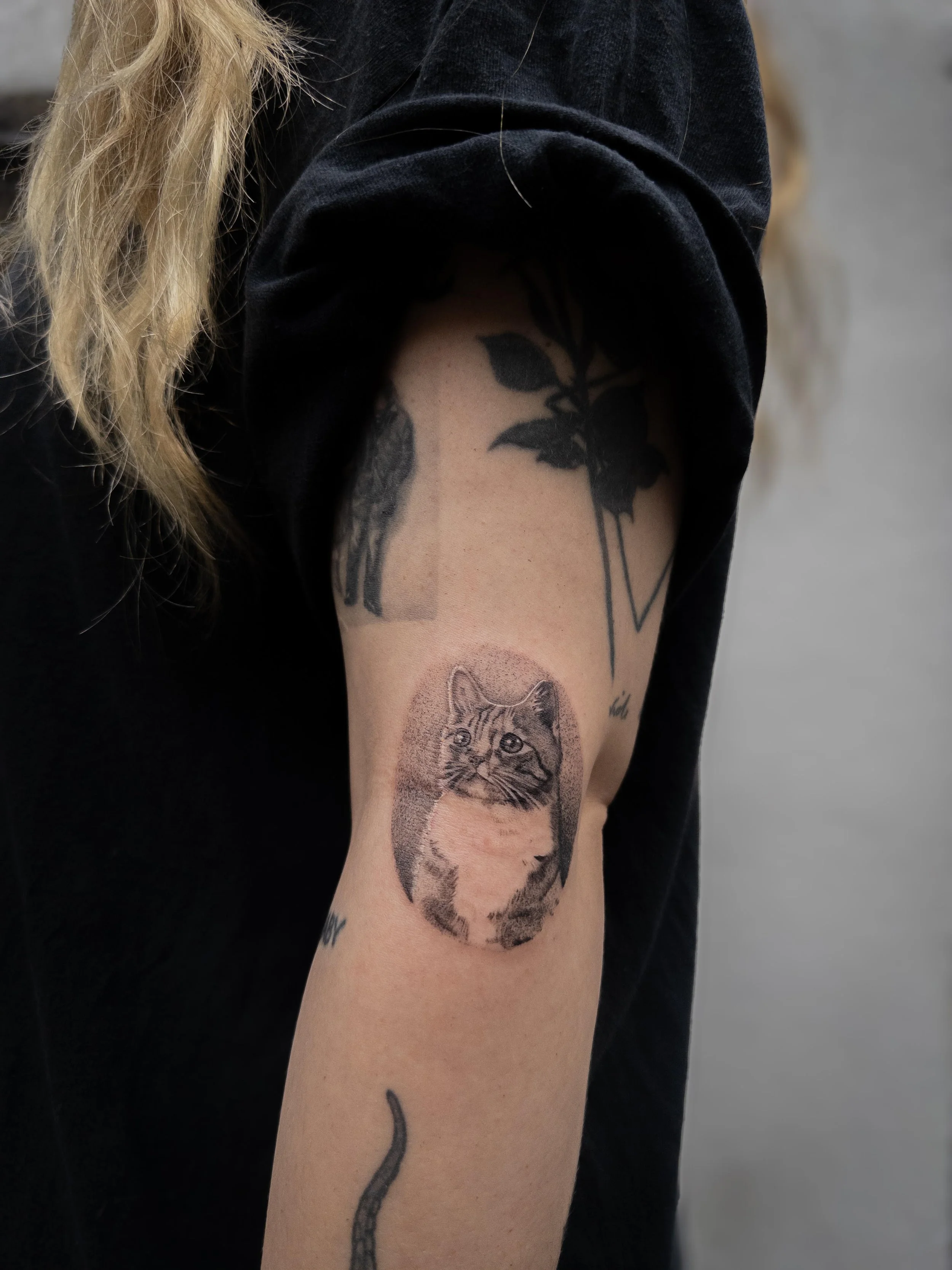 unnamed (63).jpg