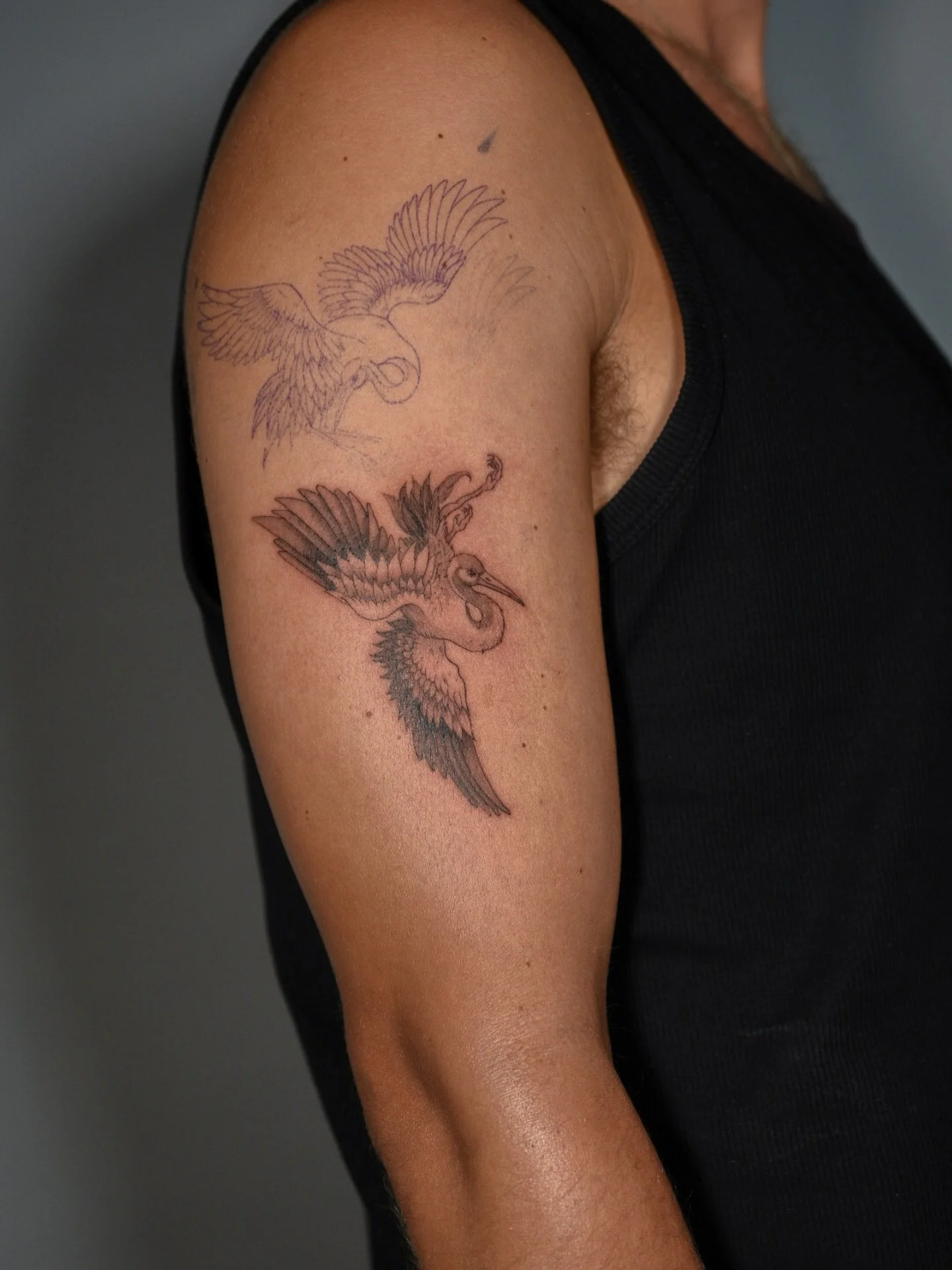 SaveInta.com_743940323_18093401417575369_2938584122932443027_n.jpg