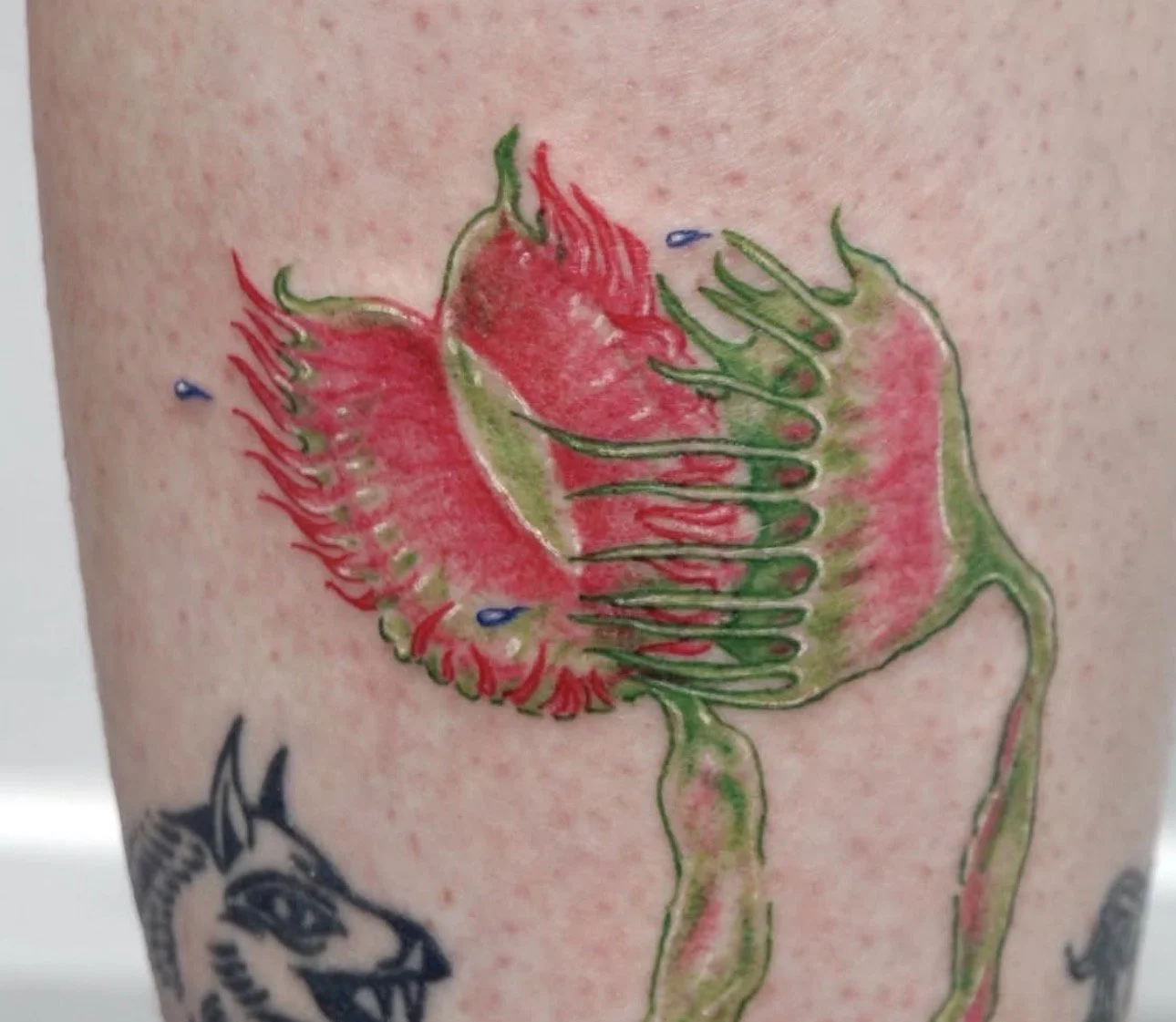 "Intellectual Seafood Risotto"