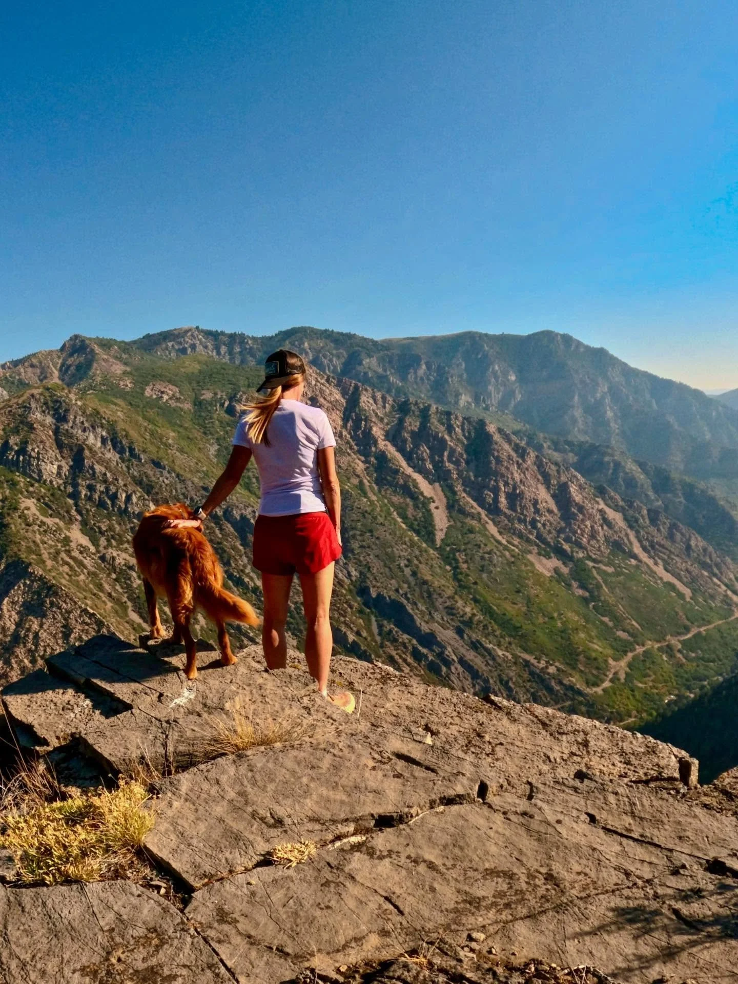 Mother, make me
Make me a bird of prey
So I can rise above this, let it fall away 🦅 
@florenceandthemachine 
#morningrun #mountains #trailrunning #goodvibes #happyrunner #running #ultratrail #adventurelife #goodmorning
