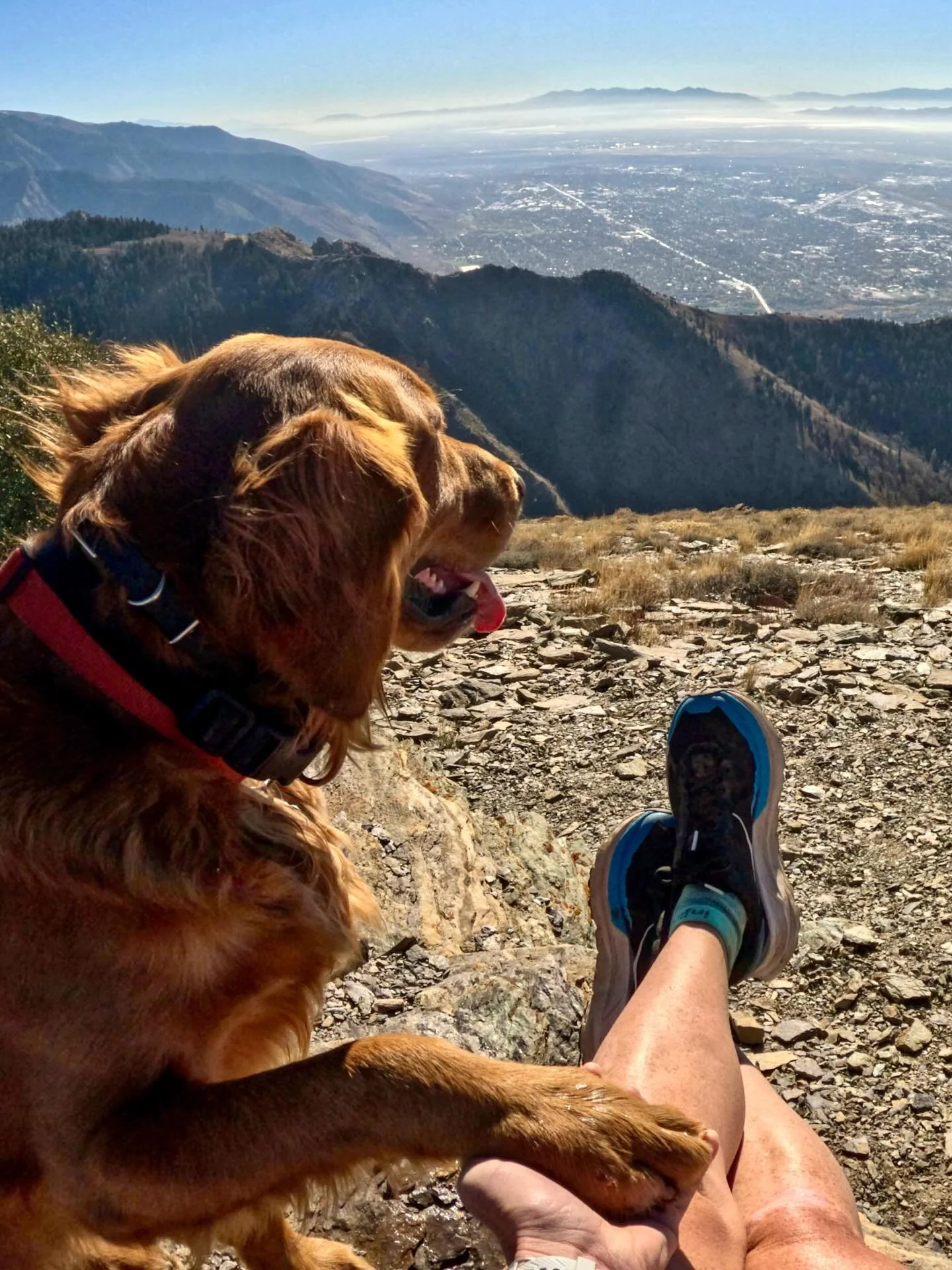 Fastest time to the peak since October 2023. What? And, don&rsquo;t bother looking at it on strava - it&rsquo;s not actually very fast . Haha! Didn&rsquo;t feel like I was trying. I just REALLY wanted to run. Do you ever do these &ldquo;test runs&rdq