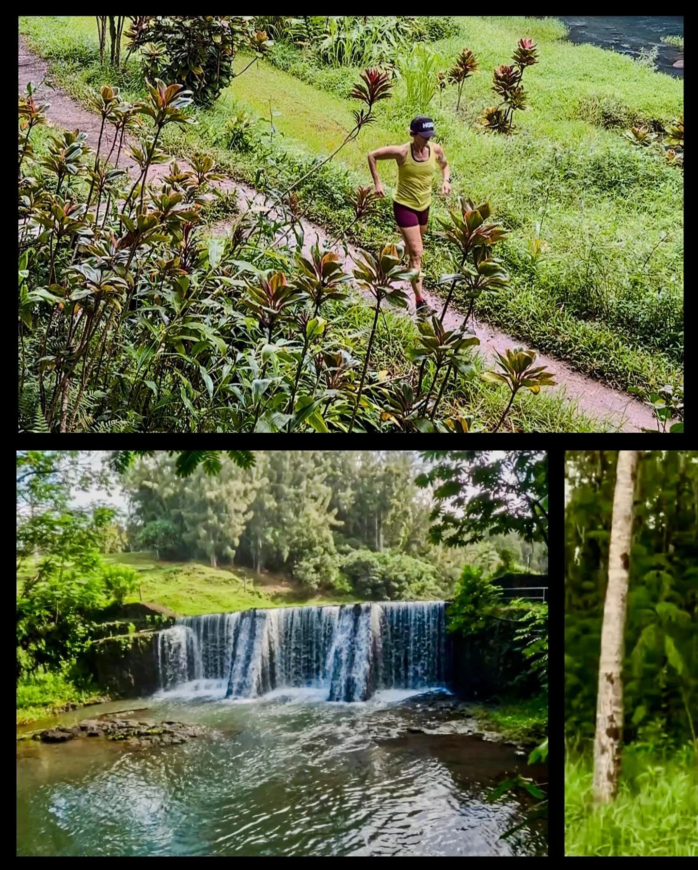 My motivation for working hard in recovery and therapy these last 10 weeks all came together in the beautiful Wai Koa forest this morning. Things are still a little wobbly, but my goal was to get here and enjoy the miles while hopefully growing a few