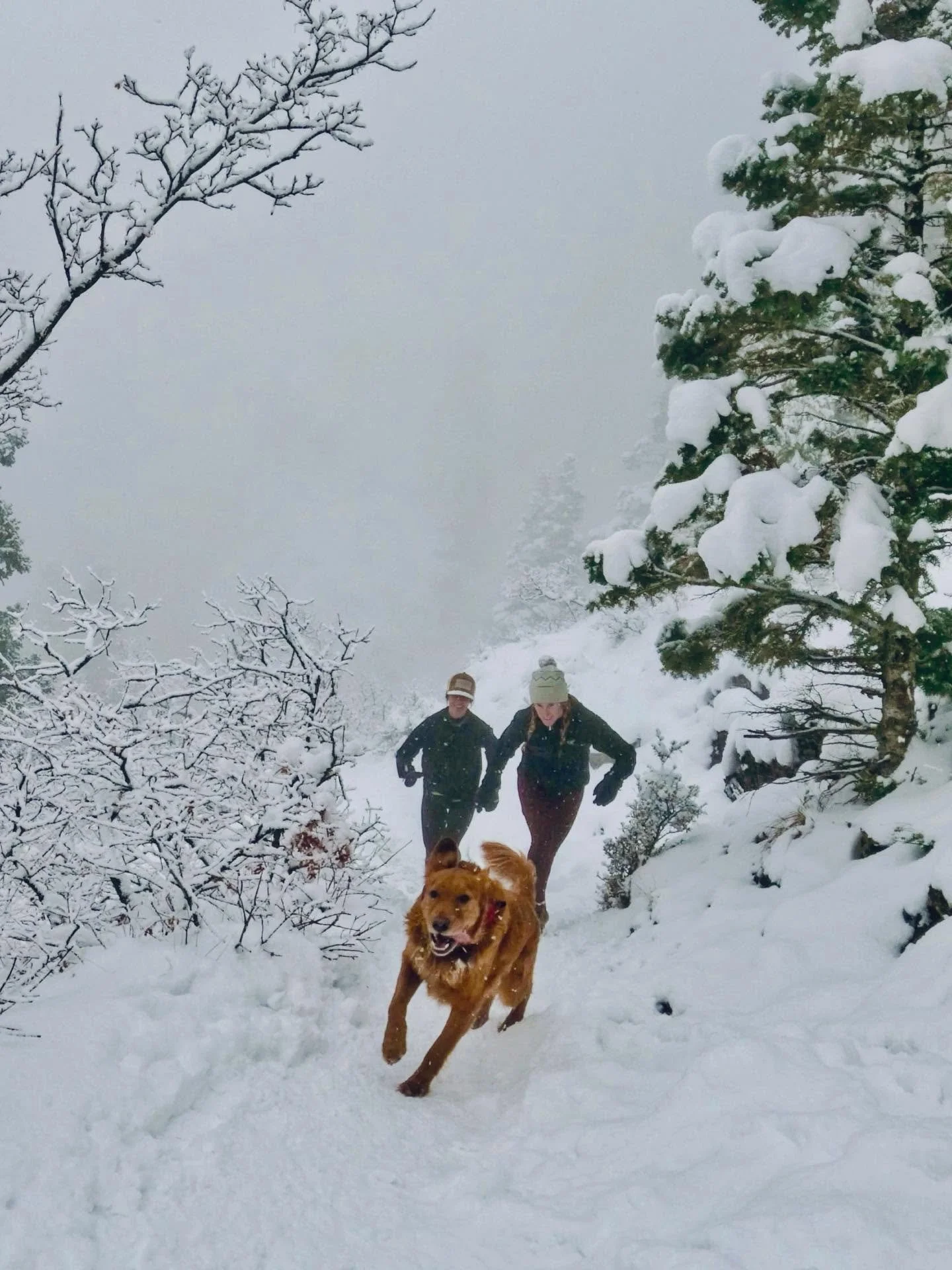 I think we are all just out here with tongues hanging out and big grins getting it done. Some just show it more than others. 👅 

#mountainlife #trailrun #running #outside #winterrunning #explore #run #trailrunning