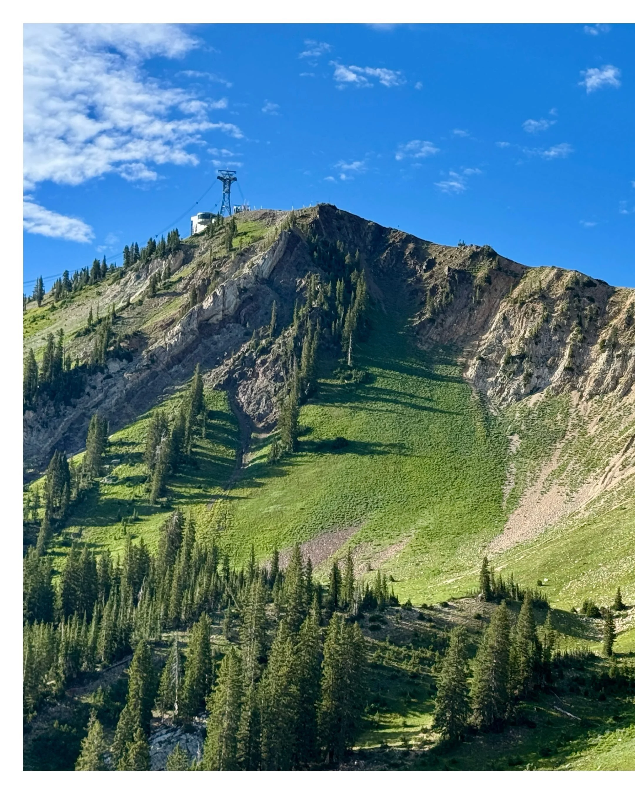 Jumped in the @speedgoatmtnraces Summit Challenge Saturday morning. Little 3.5mi grinder up to the top of Hidden Peak @snowbird. Surprised and thrilled to be the 3rd female to the tippy top surrounded by a city of cheering spectators. 

I didn&rsquo;