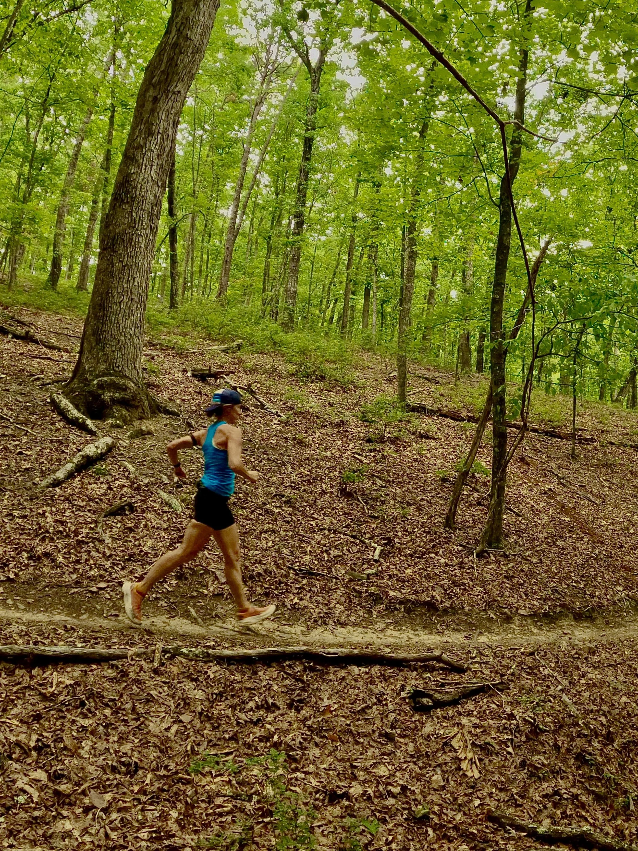Carvin&rsquo;s Cove was such a fun surprise this week. Tucked into Virginia&rsquo;s Blue Ridge, this nature preserve protects more than 12,000 acres of forest, a beautiful reservoir, and over 60 miles of trails. It&rsquo;s easy to see why it&rsquo;s 